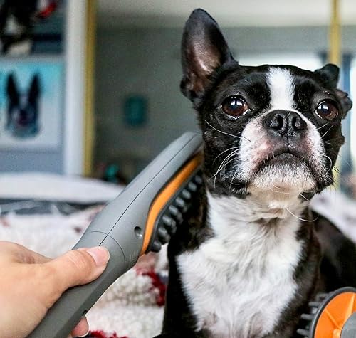 Miniatura 6 de PAW WAVE Buzz - Cepillo terapéutico masajeador de vibración para mascotas para perros y gatos diseñado para ayudar a calmar la tensión aumentar la