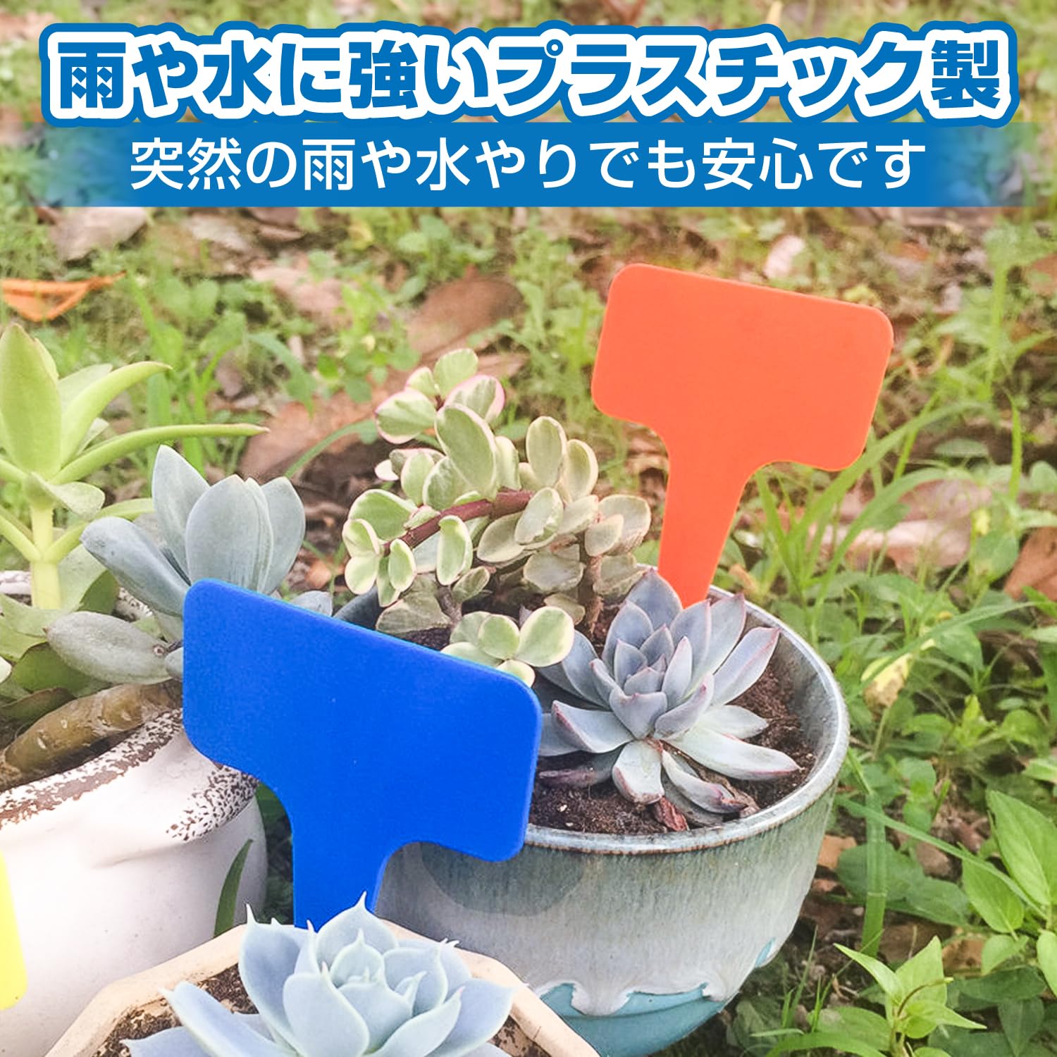 Amazon.co.jp: 園芸ラベル T型 【5色セット】 白 黒 赤 緑 黄色