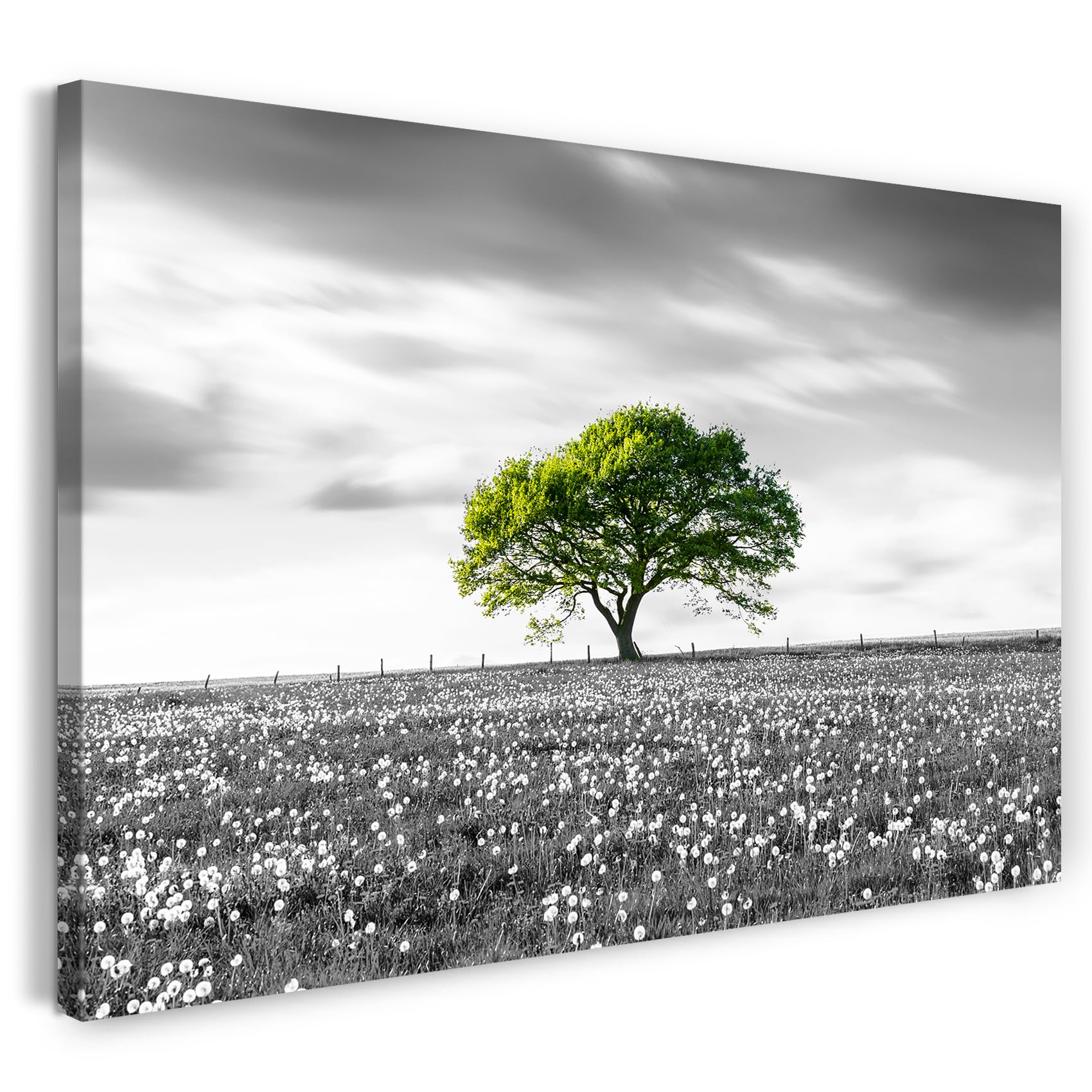Printistico #10 Meadow Of Trees Print On Canvas (120X80 Cm) Tree On Meadow With Dandelions - Landscape, Nature Photography, Real Wood Frame With Hook