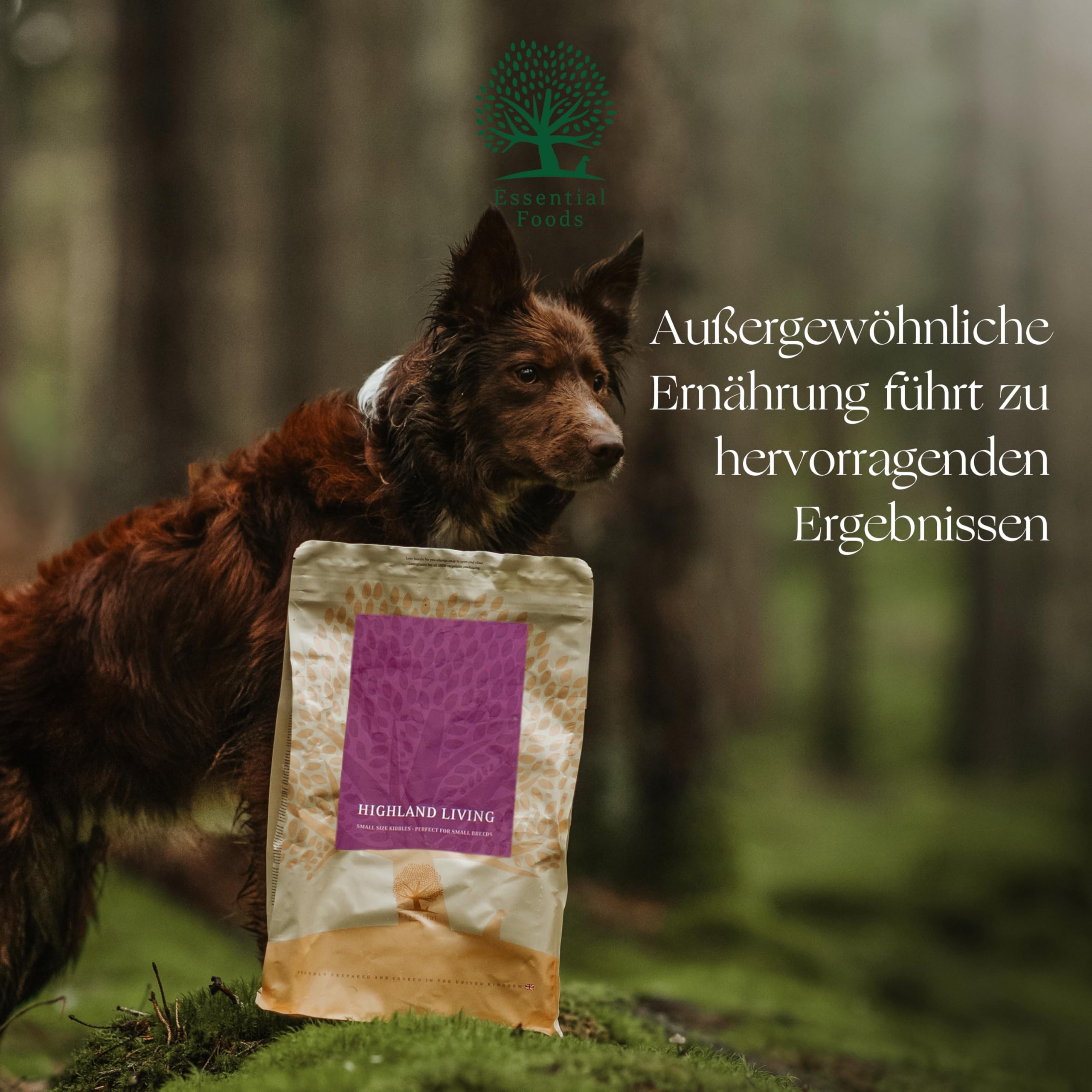 Essential Highland Living 3 x 2,5 kg | Pute, Rind & Lachs | Getreidefrei Hundefutter für kleine Hunde | hoher Fleischanteil | nach dem BOF-Prinzip