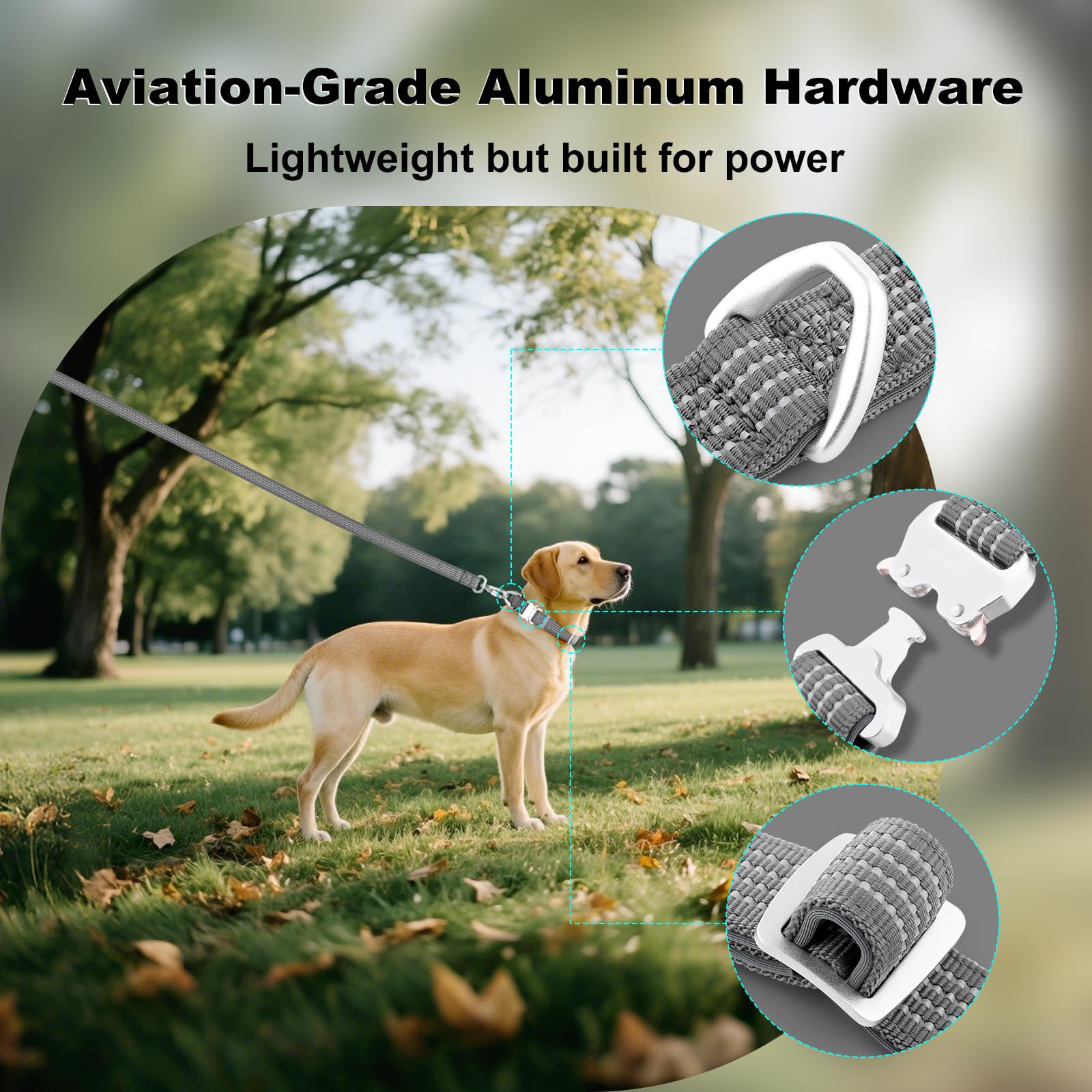 Plutus Pet Reflective Dog Collar with Aviation Aluminum Buckle, Neoprene Padded for comfort Lightweight - Image 3