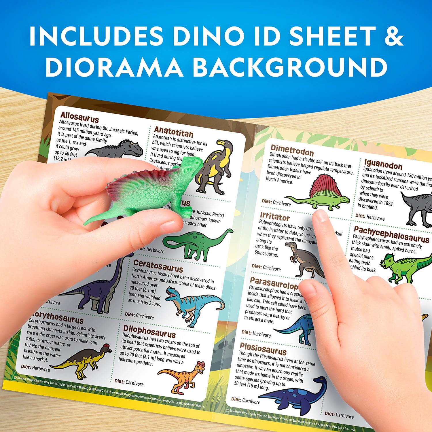 National Geographic Calendario de Adviento de dinosaurio de mármol azul