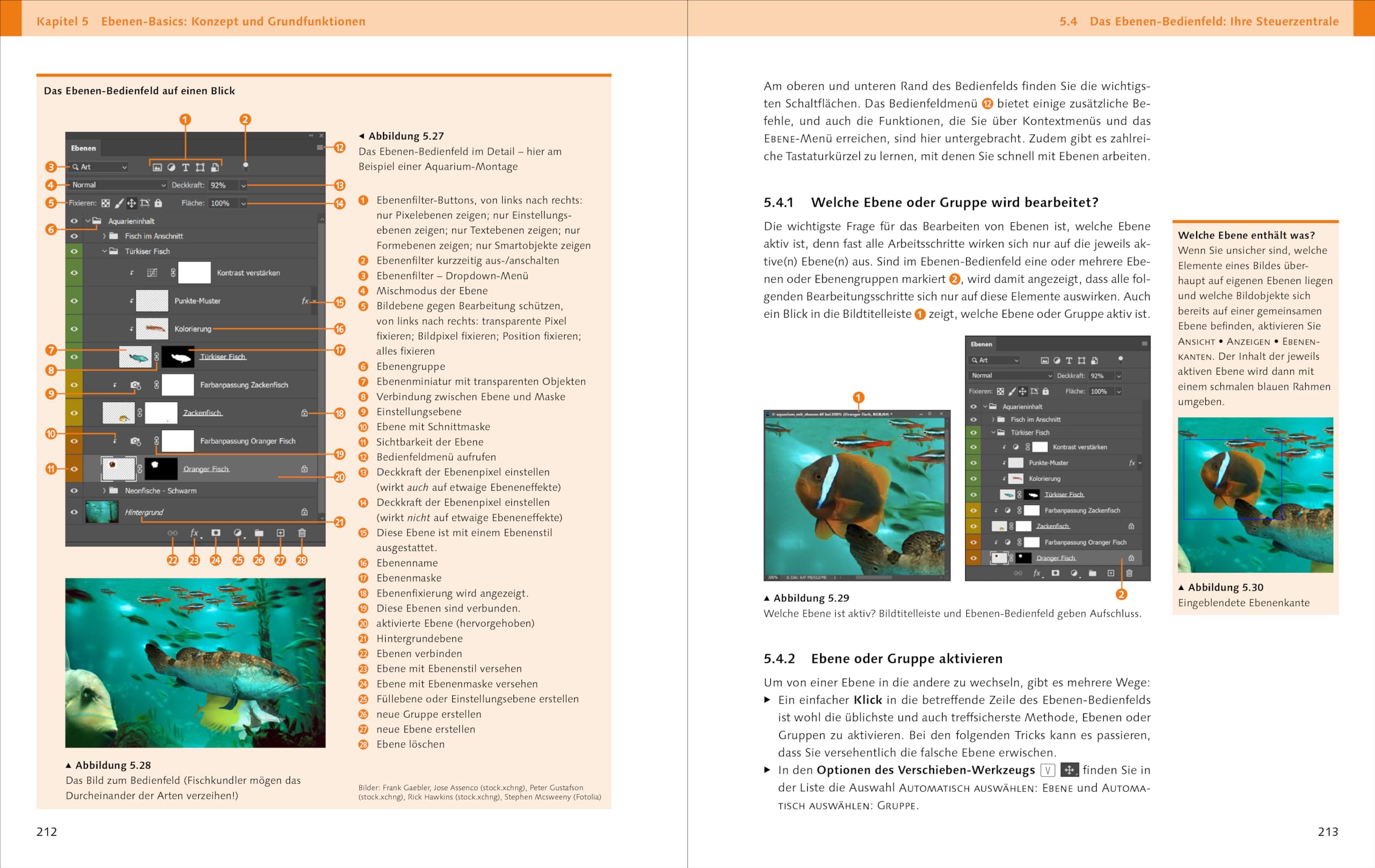 Adobe Photoshop: Das umfassende Standardwerk zur Bildbearbeitung. Über 1.000 Seiten geballtes Wissen zu Ihrer Adobe-Software (neue Auflage 2023)