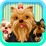 Yorkshire Terrier Dog Emoji Stickers - Yorkie Keyboard App