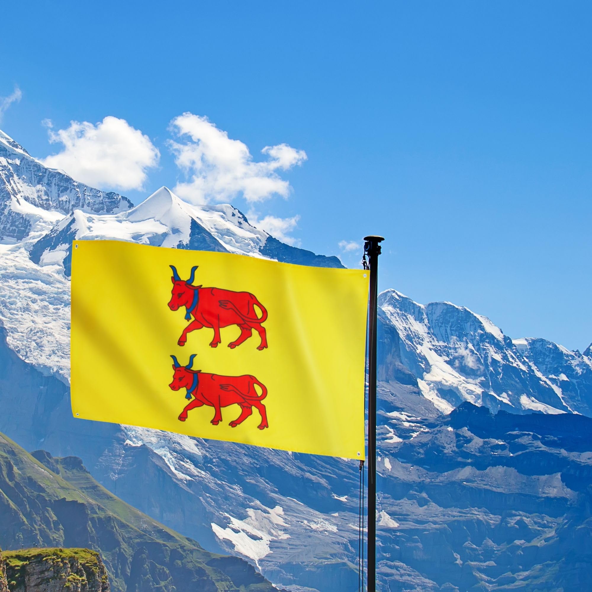 Runesol Province of Barn Flag, 91x152cm, 3ftx5ft, Pyrnes-Atlantiques Flag, 4 Grommets, Eyelet In Every Corner, French Region Banner, Premium Flags, Inside, Outside, Vivid Colours - Image 3