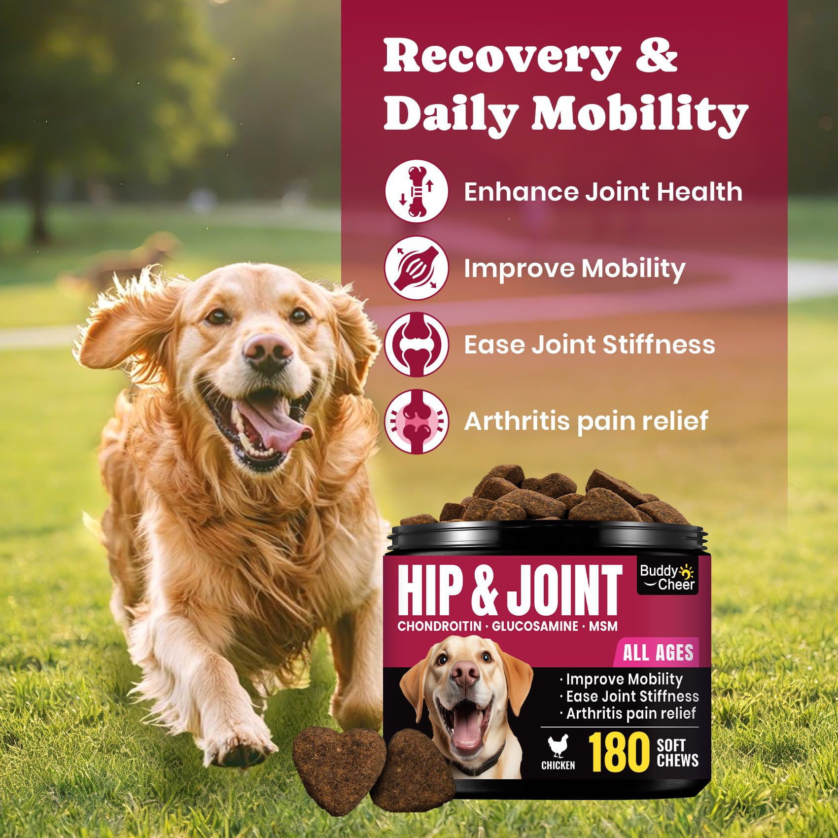 Glucosamine for Dogs - Hip and Joint Supplement Chews for Senior & Large Breed, Joint Supplement for Dogs with Chondroitin, Wuffe Joint Chews for Pain Relief - 60-Day Satisfaction Guarantee - 180 Ct - image 2