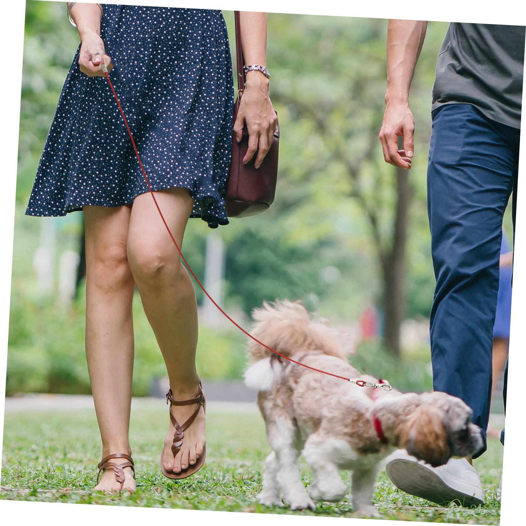 INOOMP 4pezzi Guinzaglio Per Cani Acciaio Inossidabile Resistente Ai Morsi Per Passeggiate e Attività All Aperto Design Elegante e Leggero