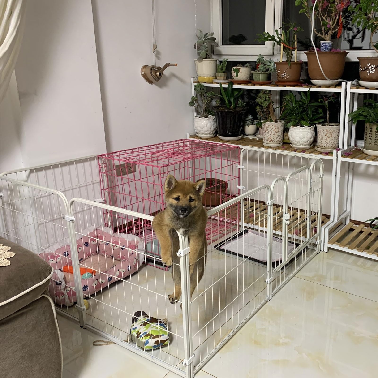 Amazon.co.jp: 中型犬用の犬ケージ、小中型犬用のドッグフェンス