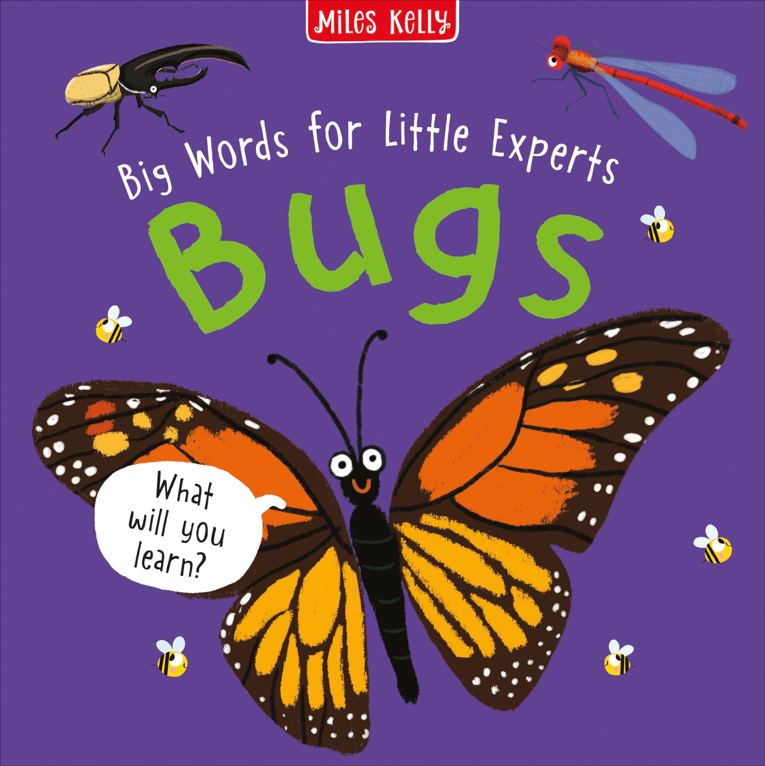 Big Words for Little Experts: Bugs: A Colourful Non-Fiction Picture Book for Early Language Development