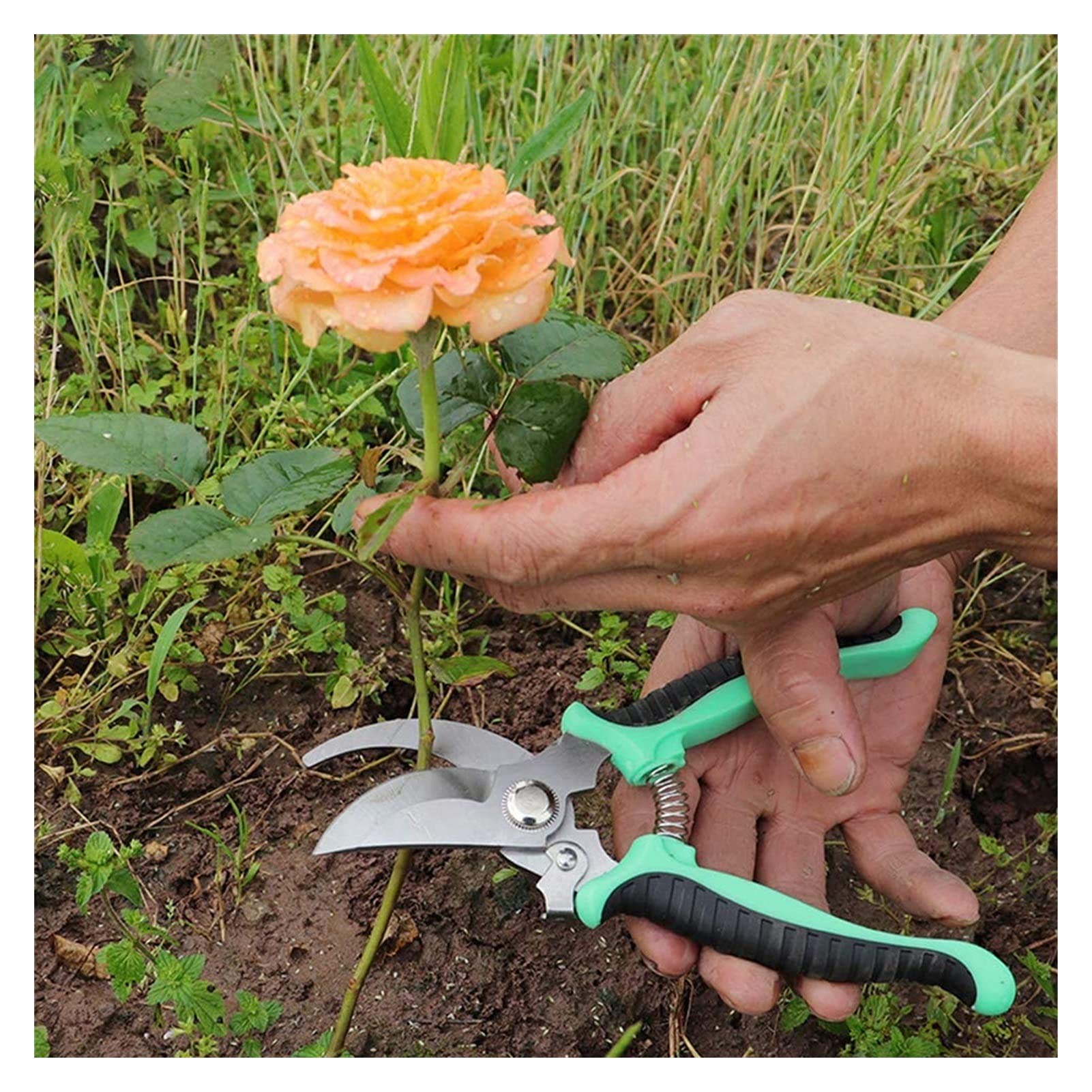 MRKU Forbici da Giardino Professionali per potatura, cesoie per potatura, Forbici Multifunzione con Molla di Ricambio per Rami, steli, Piante in Vaso e Fiori 4 Pezzi