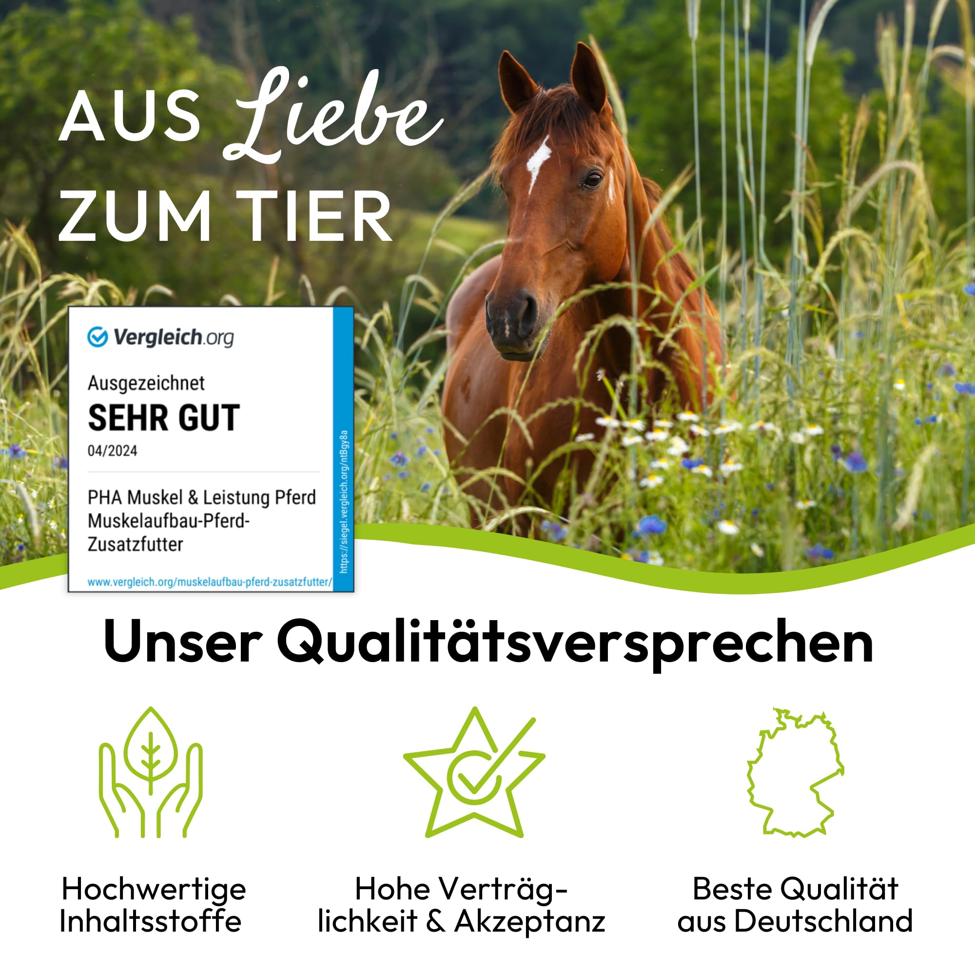 PHA Muskel & Leistung für Pferde – Mineralstoffe und Vitamine für Muskelaufbau & Leistungsfähigkeit, mit Vitamin E, Magnesium Pferd & Selen Pferd, Pulver 850 g, ohne Zucker