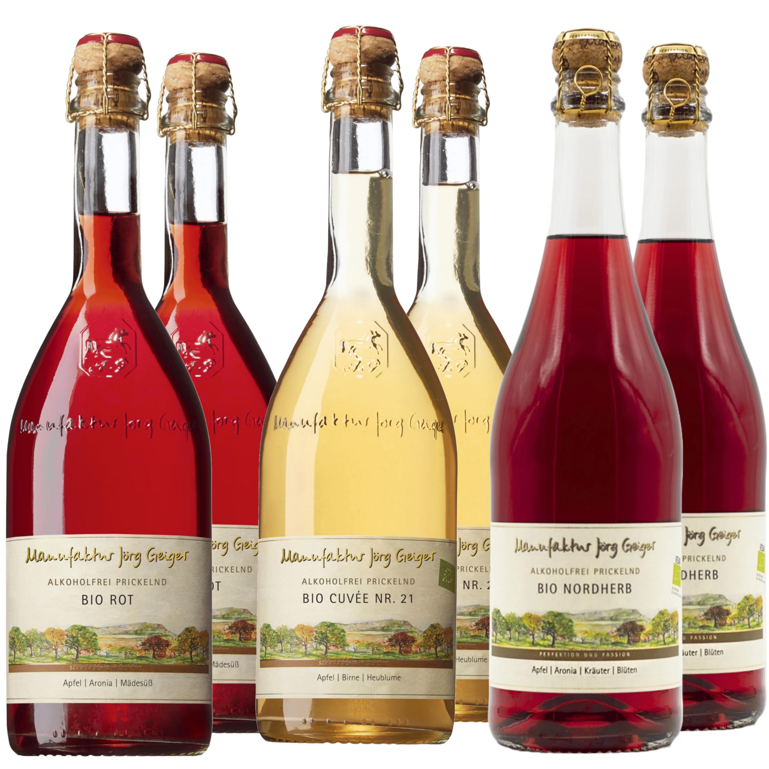 Jörg Geiger Alkoholfrei Probierpaket – 6x Bio Fruchtsecco Prickelnd – Klassik Auswahl – inkl. Gratis Sektverschluss – Geschenkset alkoholfrei