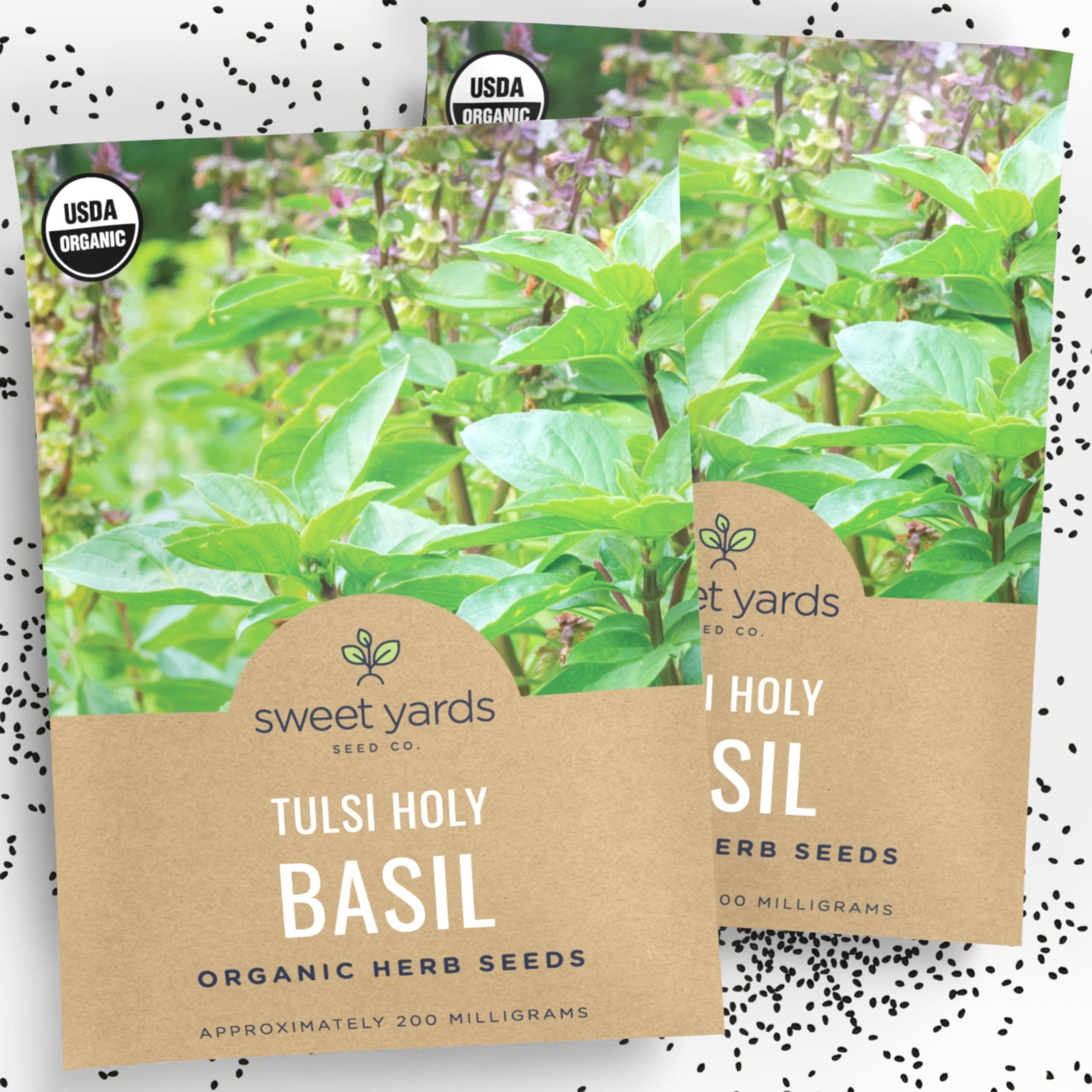 Organic Holy Basil Seeds ‘Tulsi’ – Two Seed Packets! – Over 1,706 Open Pollinated Non-GMO Seeds – Sweet Yards Seed Co.