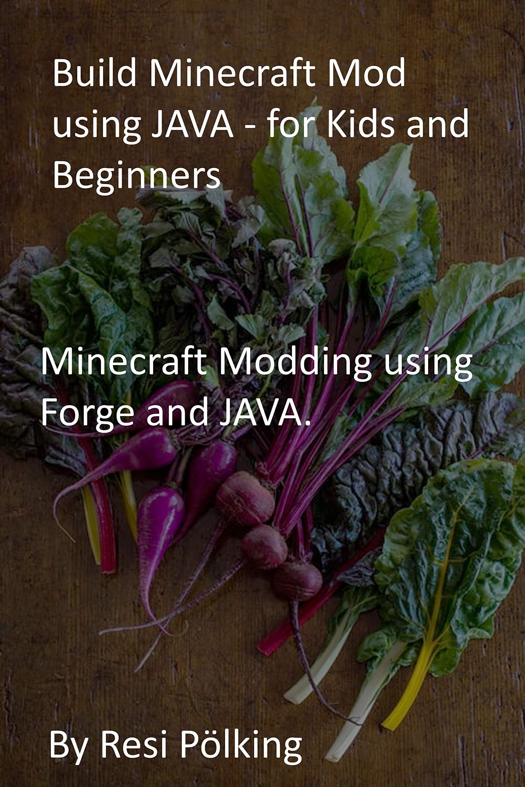 Build Minecraft Mod using JAVA - for Kids and Beginners: Minecraft Modding using Forge and JAVA.