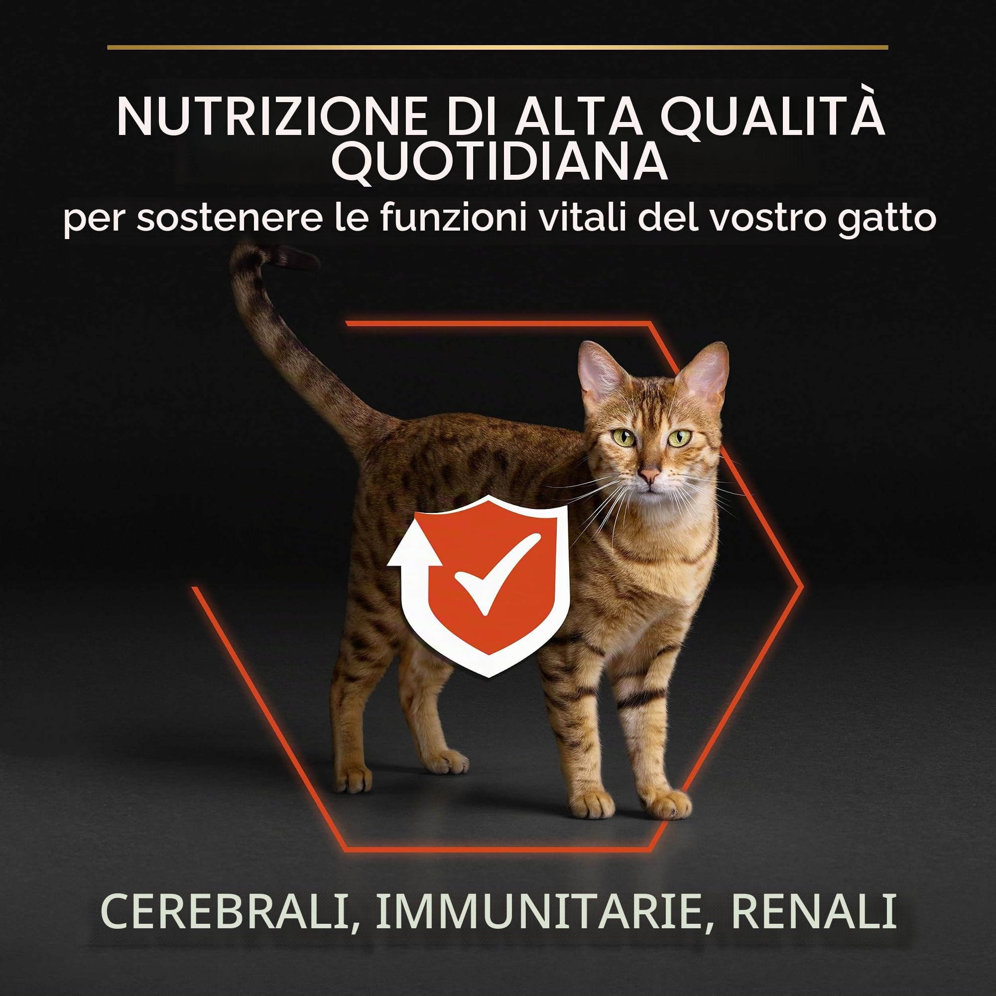 Purina Pro Plan Vital Function Crocchette Gatti Adulti Ricco in Salmone 3kg