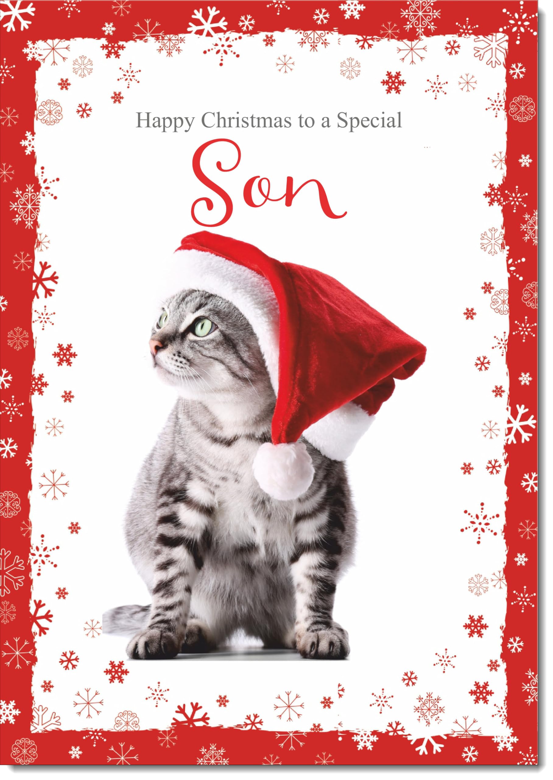 doodlecards Son Christmas Card Kitten in a Santa Hat Large A4 Size Christmas Card for Son with Plain Envelope