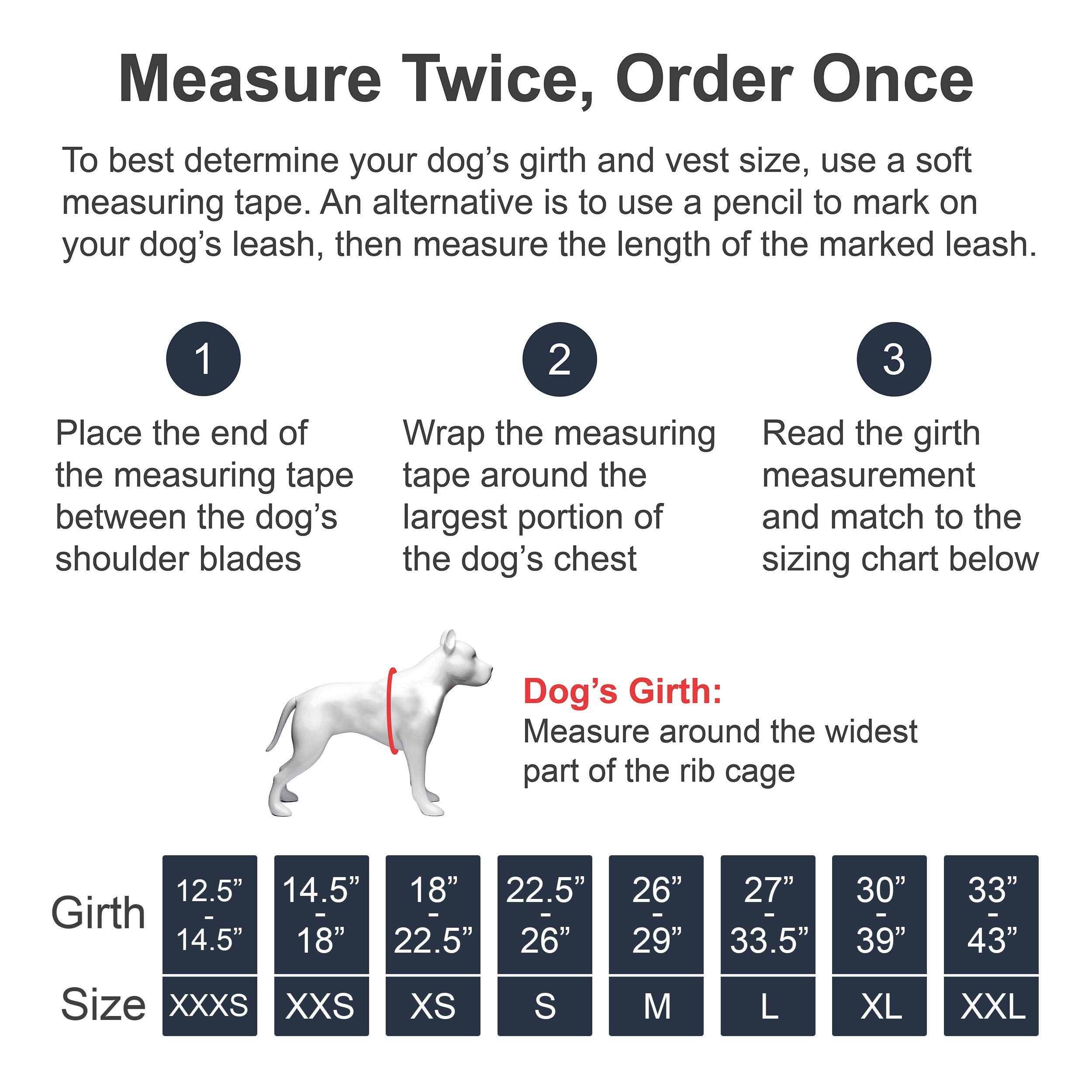 industrial puppy service dog harness