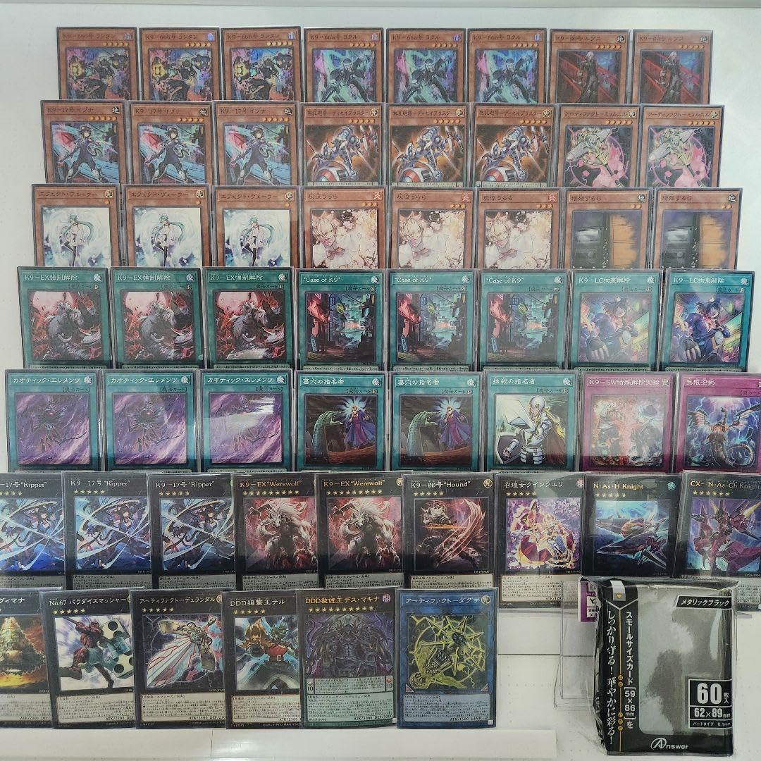 即日発送＆フォロワー様5%オフ❗️ 大会構築　K9VSデッキ　③ 即日発送＆フォロワー様5%オフ❗️ 大会構築 ライゼオルデッキ
