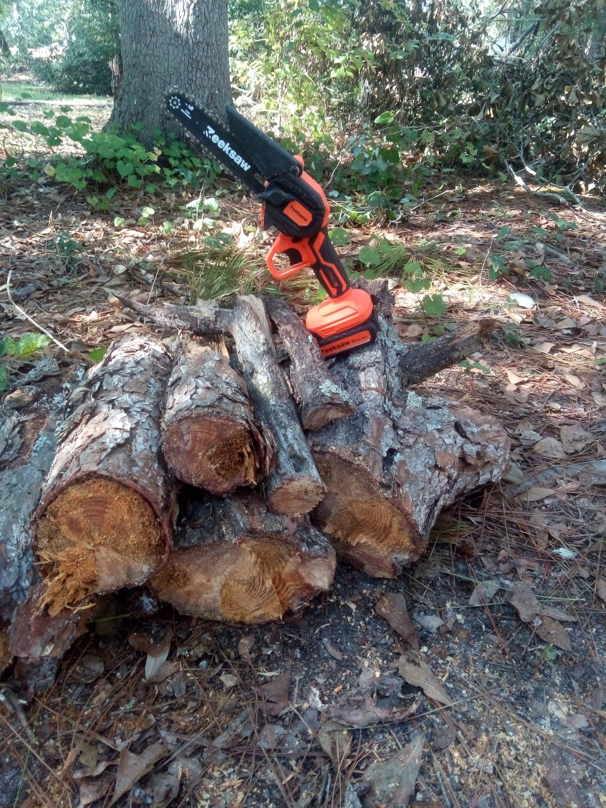 13/mo Finance Mini Chainsaw 6 Inch Cordless, Zeeksaw Super Power