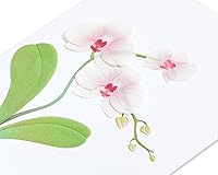 Vista 5 de Tarjeta en blanco Papyrus para ella (Orquídea)