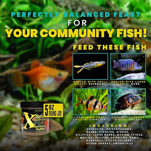 Vista 19 de Xtreme Community Peewee - Gránulos de 0.059 in: hundimiento lento e ideal para peces comunitarios – Aumenta la salud inmune y digestiva, mejora