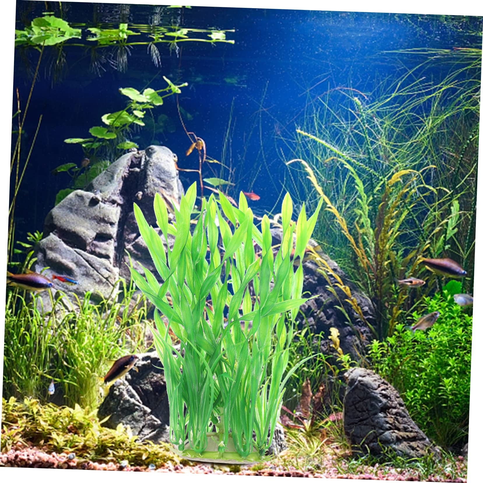 BESPORTBLE 10stücke Aquarium Kunstpflanzen Dekoration Wasserpflanzen Für Betta Fisch Tank Unterwasser Aquarien Zubehör Langlebig Und Farbecht