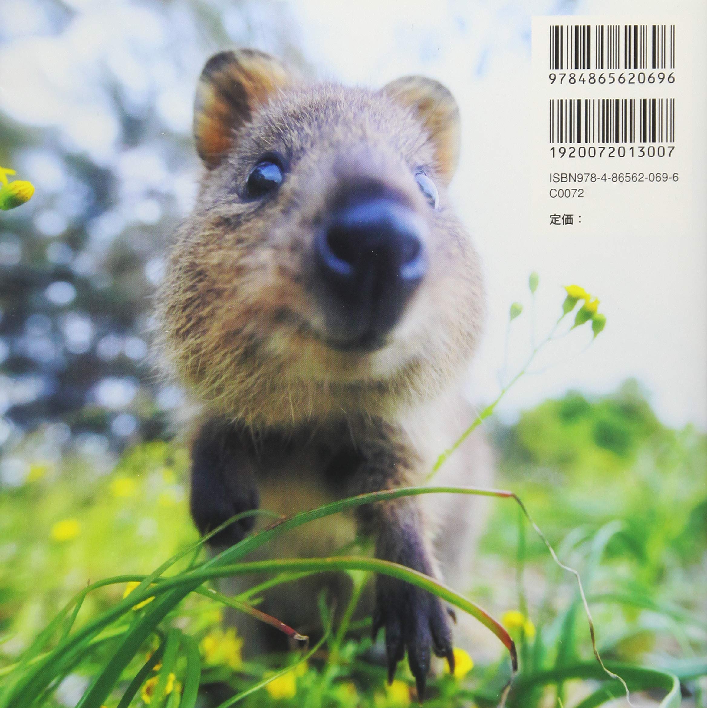 クオッカ 福田 幸広 福田 幸広 本 通販 Amazon