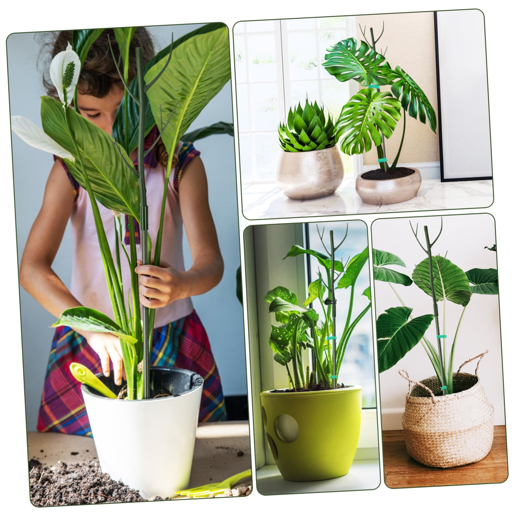 UPKOCH Structure de Support pour Plantes 1 Set, Tuteurs en Plastique Vert, Résistants la Casse, pour Croissance Droite des Plantes et Lierre, Intérieur Jardin