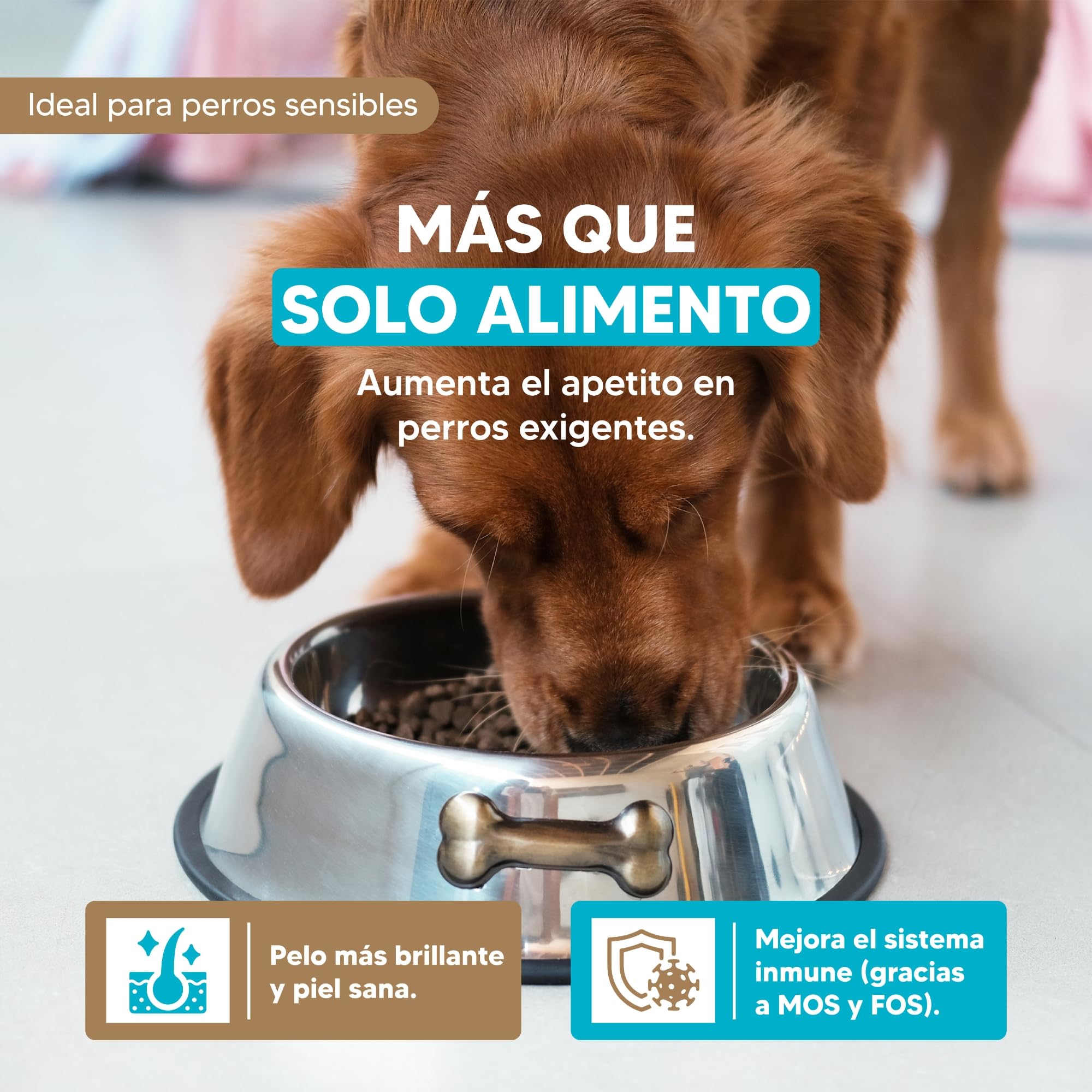 Yerbero Nature Salmon & Rice, Pienso para Perros sin Gluten con Salmón,Pienso Hipoalergénico para Perros con Alta Digestibilidad con Omega 3 para Pelo Brillante (Salmón y arroz) 10kg