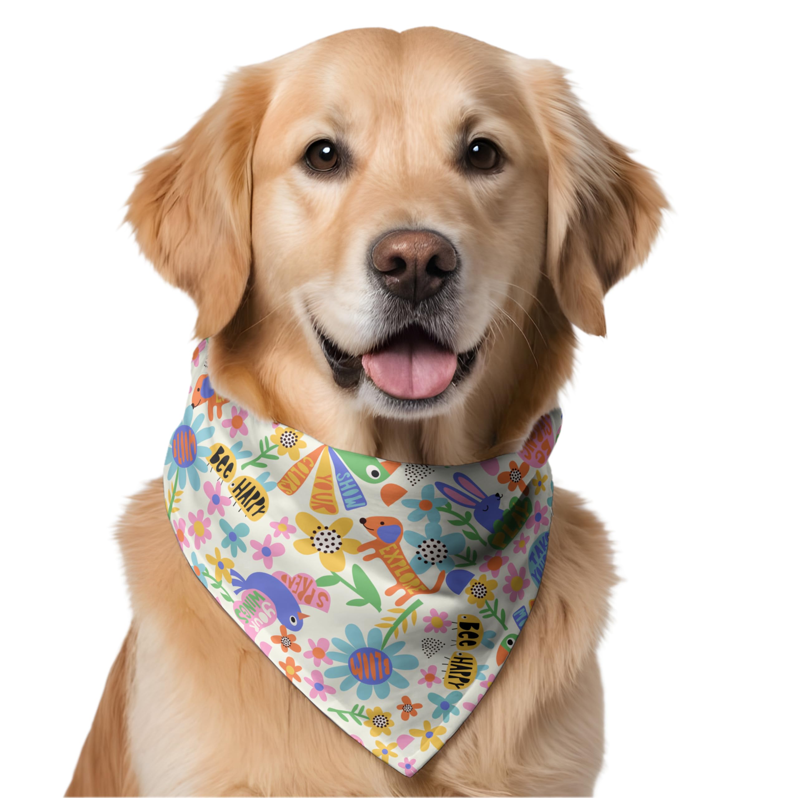 W Brings Spread Your Wings Dog Bandana Scarf | This Stunning Gorgeous Dog Bandana Scarf is Perfect for Your Dog’s Day Out. One Size Fits All. (B0CWYCCPRF) Amazon Price History, Amazon Price Tracker