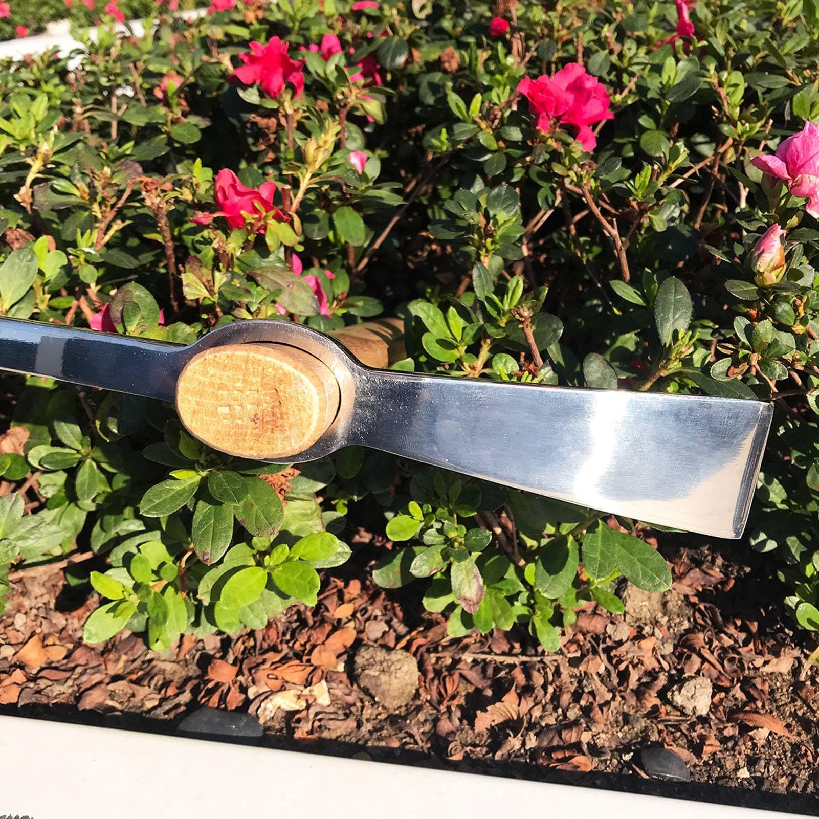 Kreuzhacke 45 cm Edelstahl Gesteinsfleck Pickaxes Spitzhacke Doppelhacke Mattock Hacke mit Holzgriff, Pick Axt Handwerkzeug zum Transplantieren der Pflanzung des Lösens von Boden