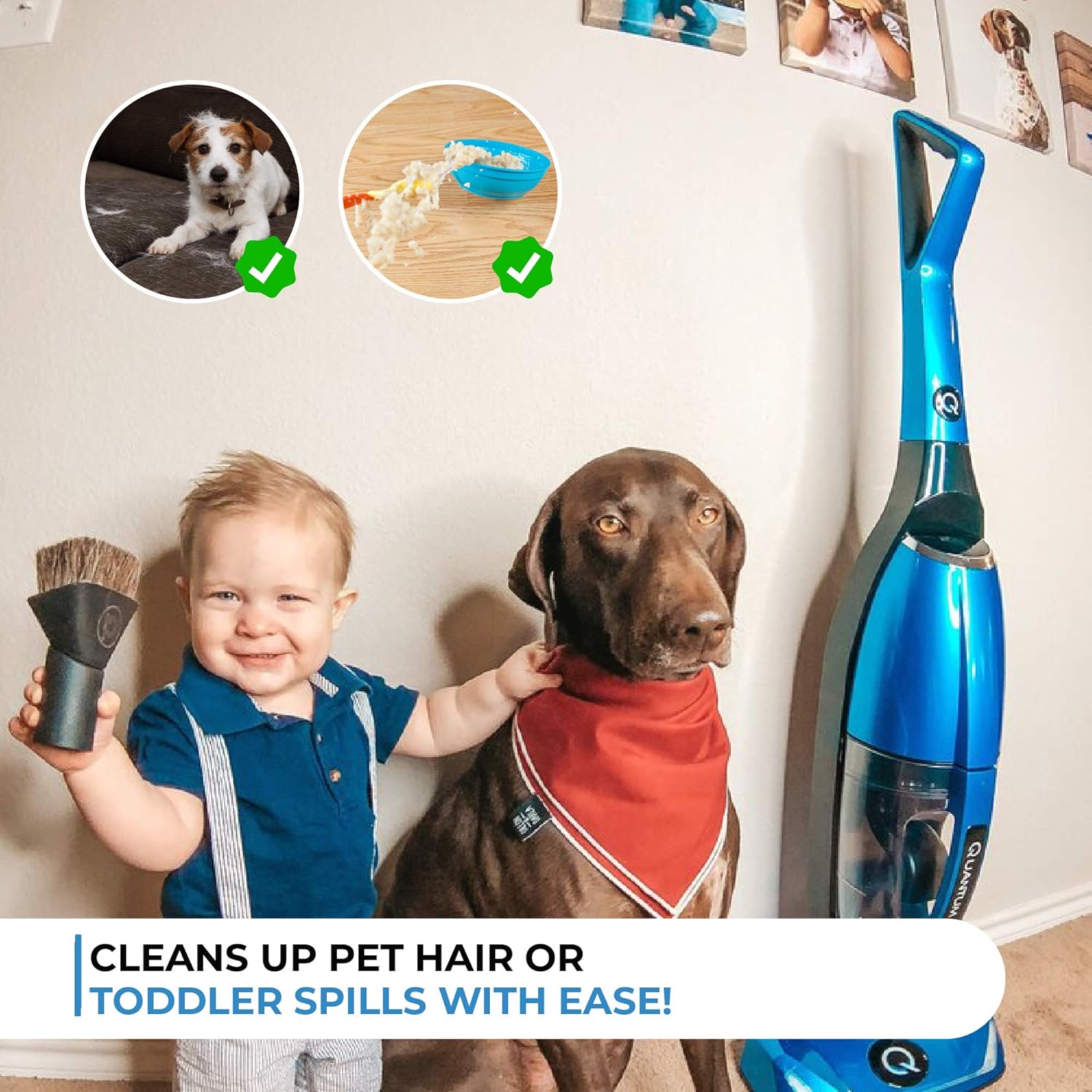 🔥 Quantum X Upright Water Filter Vacuum — The Best Bagless Household Vac Cleaner with Water & MicroSilver Filtration to Clean Wet & Dry Messes - Pet, Dog Hair & Toddler Spills on Carpet & Hardwood Floor TOP оƒƒERS Quantum X Upright Water Filter Vacuum — The Best Bagless Household Vac Cleaner with Water & MicroSilver Filtration to Clean Wet & Dry Messes - Pet, Dog Hair & Toddler Spills on Carpet & Hardwood Floor