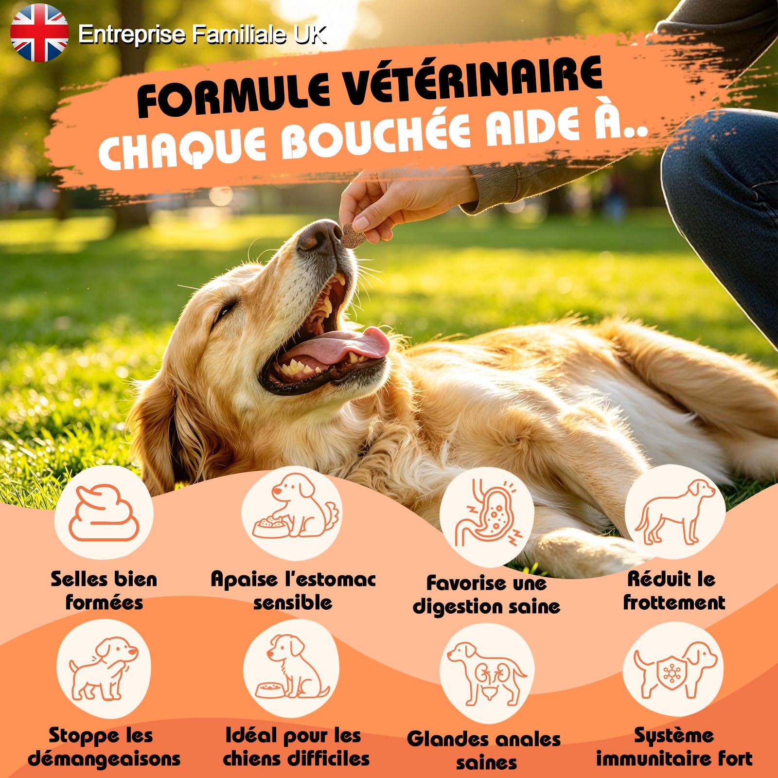 Bailey & buddies Probiotiques Chien Digestion & Système Immunitaire | Compléments Alimentaires Premium pour Chiens | Oméga 3, Probiotiques | Marque UK | 300g
