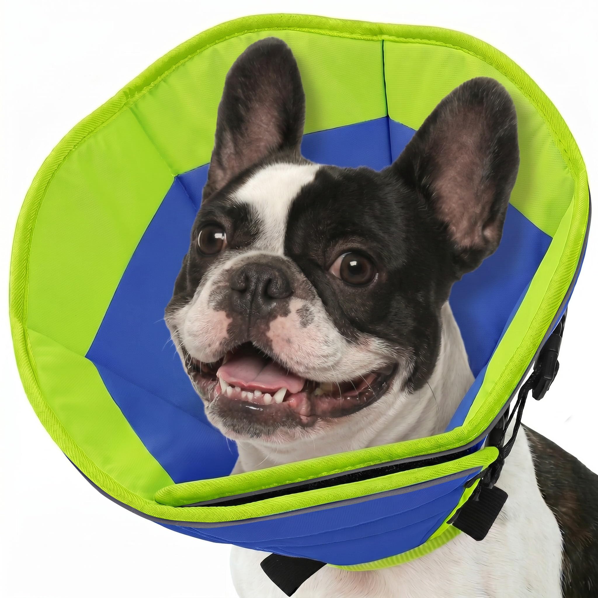 Photo 1 of SUNFURA Dog Cones for Medium Dogs, Soft Cone for Dogs to Stop Licking, Comfy Dog Cone with Elastic Collar Loop, Recovery E-Collar Alternative for Wound Healing After Surgery, Blue M