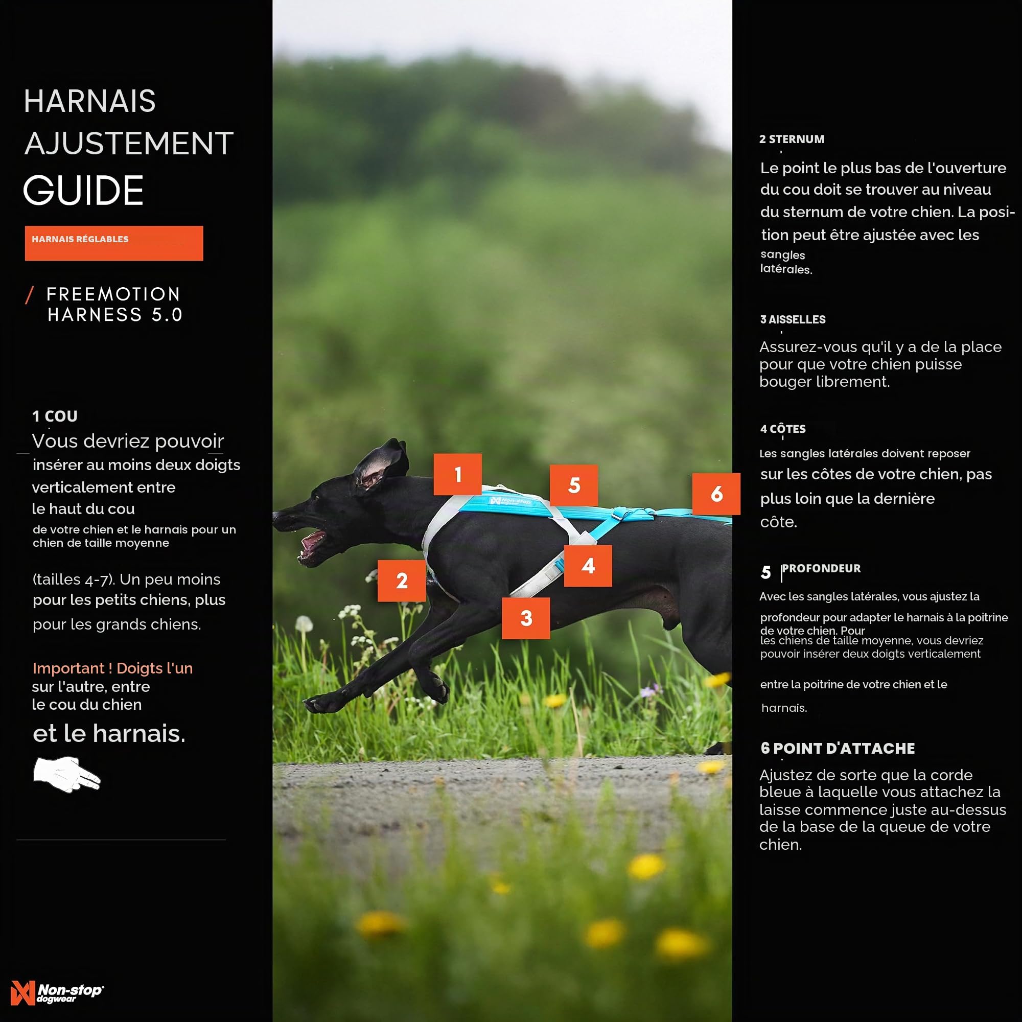 Non-stop dogwear Freemotion Harness 5.0 est Un Harnais de Traction pour Chien pour Les Sports comme la Course, Le vélo et Le Ski avec Les Chiens, Harnais Professionnel réglable. Orange/Noir, Taille 4