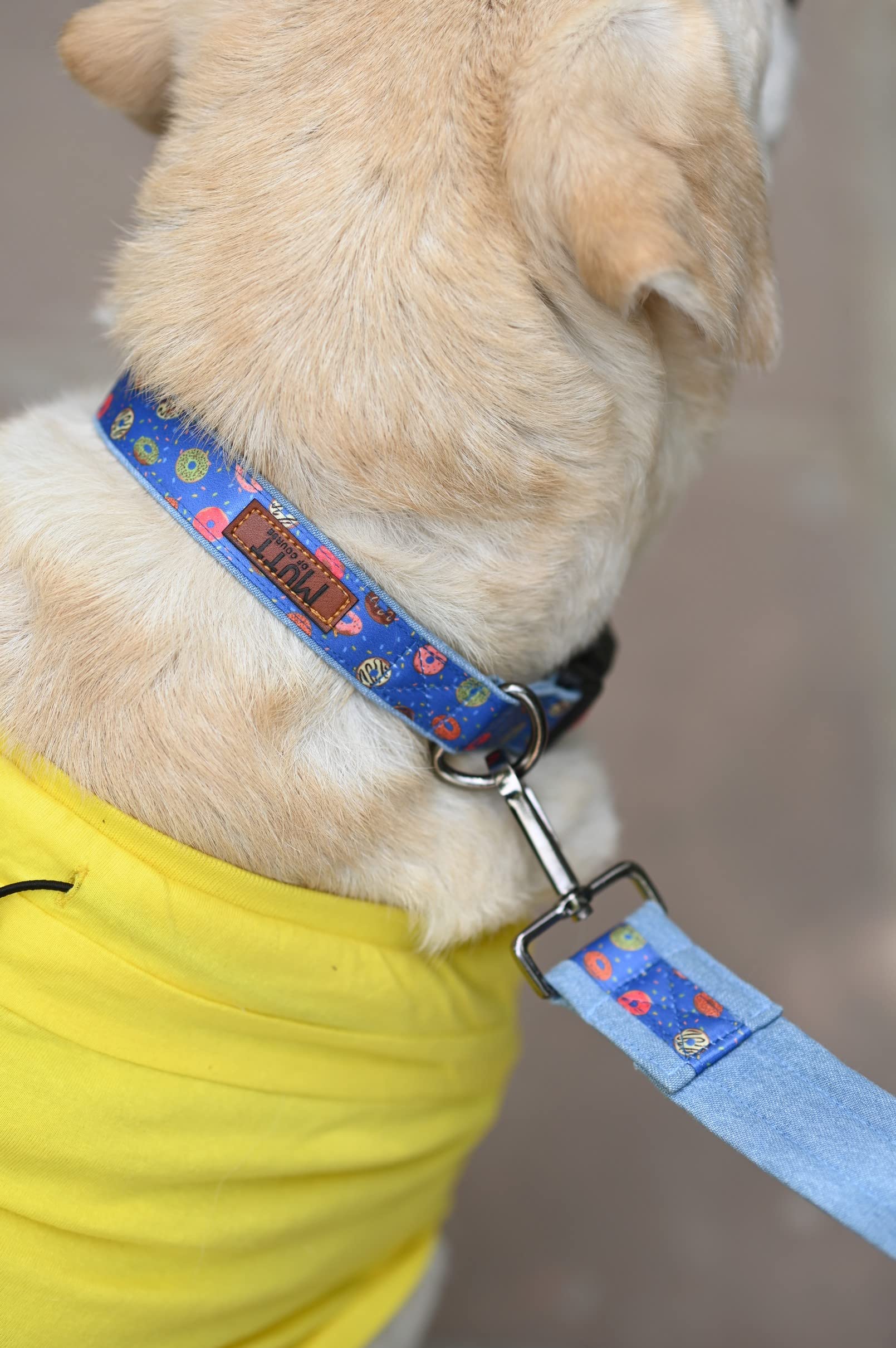 Mutt of Course Raining Donuts Dog Collar (Large) (B094ZWBFHC) Amazon Price History, Amazon Price Tracker
