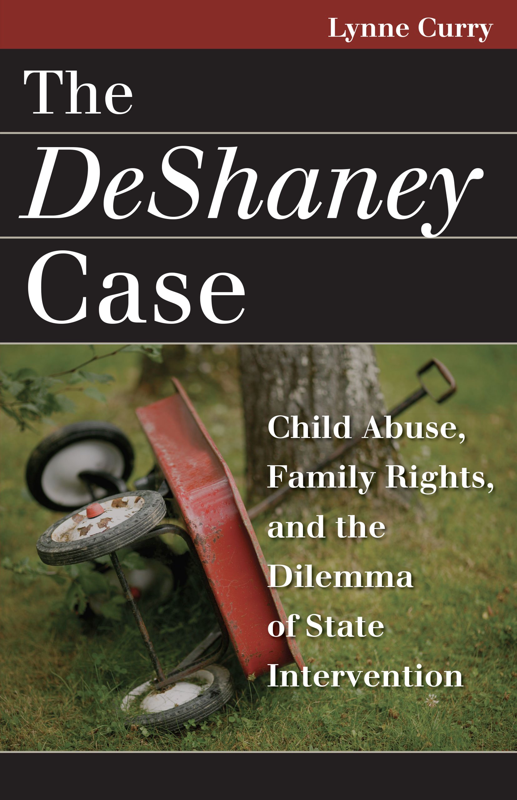 The DeShaney Case: Child Abuse, Family Rights, and the Dilemma of State Intervention (Landmark Law Cases and American Society)
