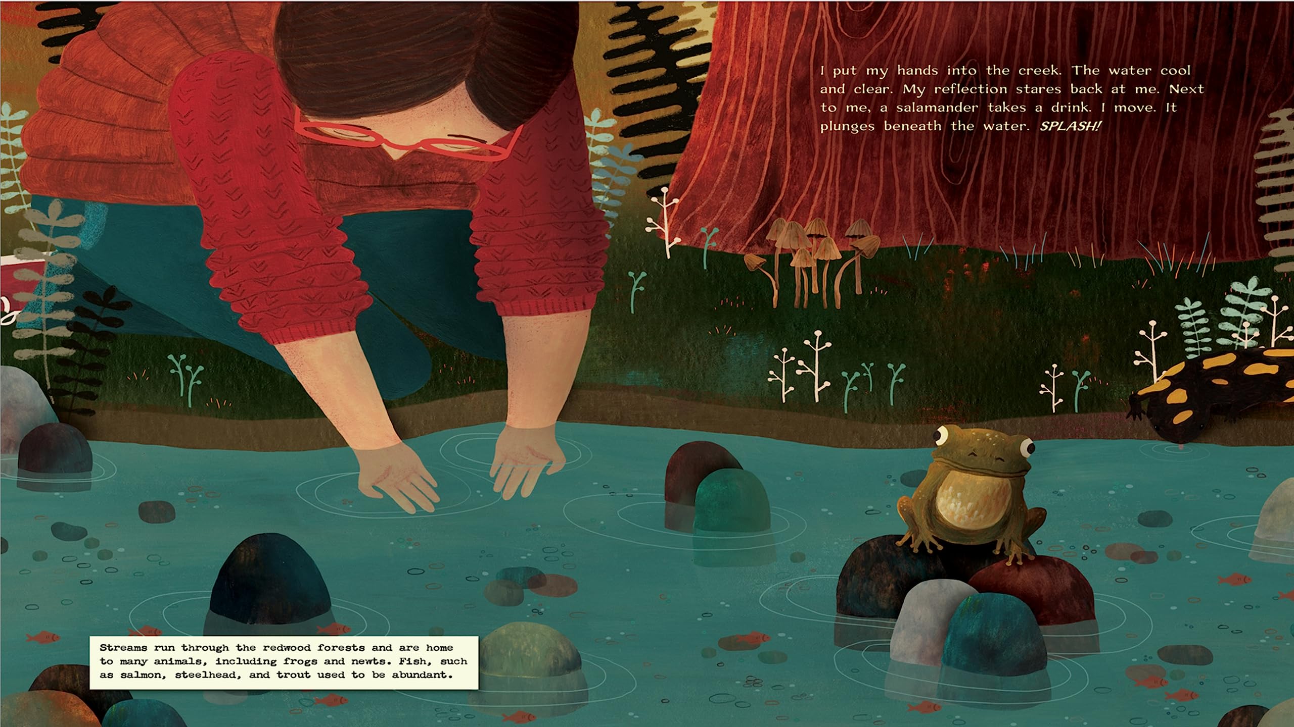 A Walk Through the Redwoods | Juvenile, Science & Nature Children's Fiction Book | Reading Age 5-10 | Grade Level K-5 | Reycraft Books - Image 5