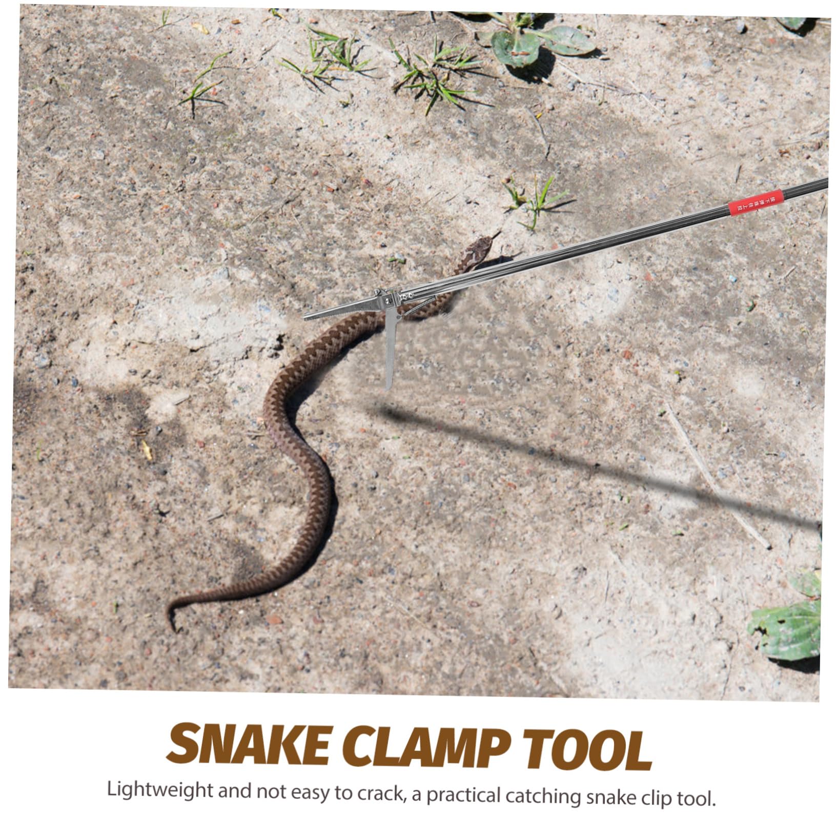 Pinces à Serpents en Acier Inoxydable Antidérapantes, Pliables et Portables, Outil Multifonctionnel pour Jardin et Activités Extérieures