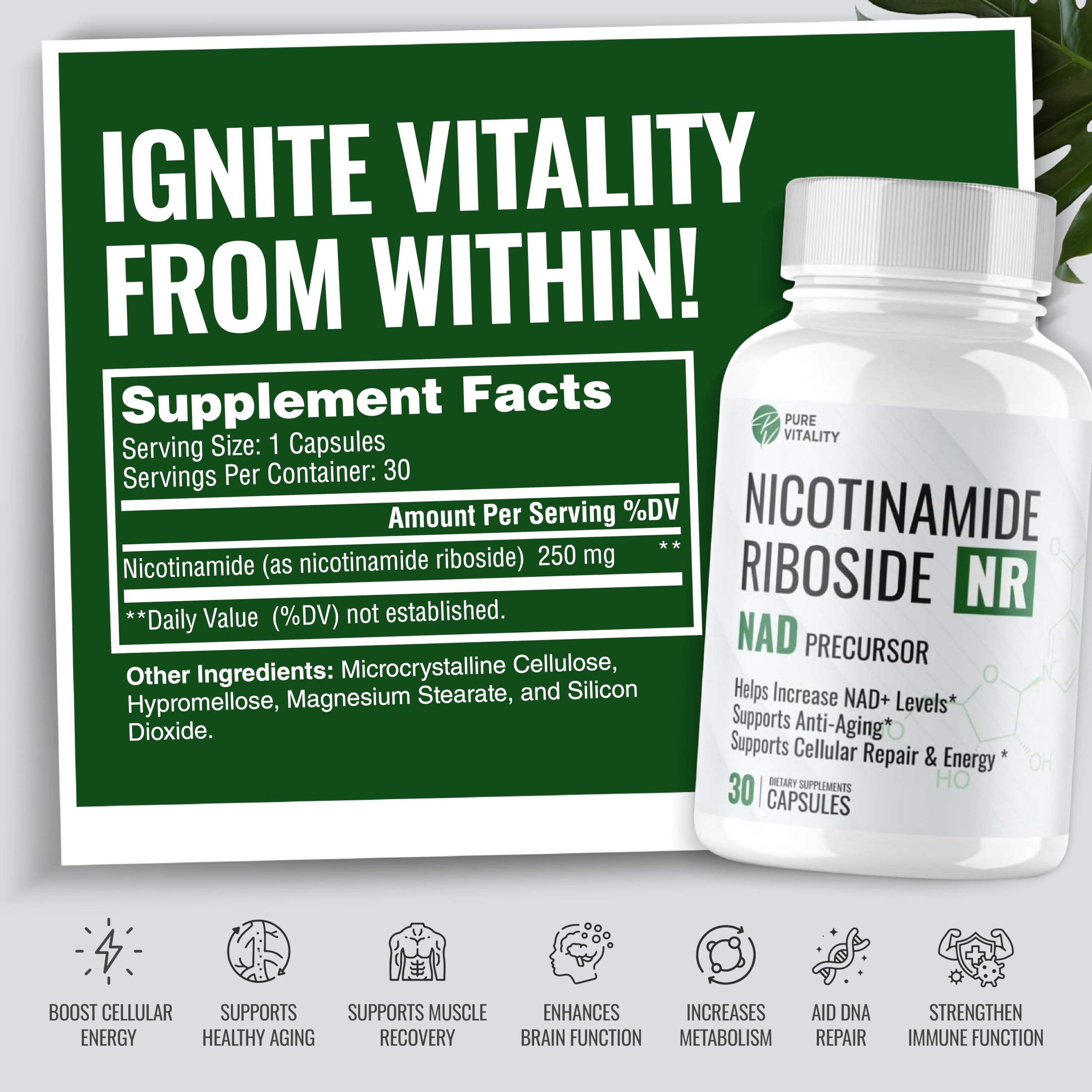 Supplément NAD | Nouveau nicotinamide riboside NAD+ & NR (sans rinçage) | Alternative NMN | Stimule le NAD naturel pour les effets anti-âge, la longévité et la fonction cognitive – Approvisionnement
