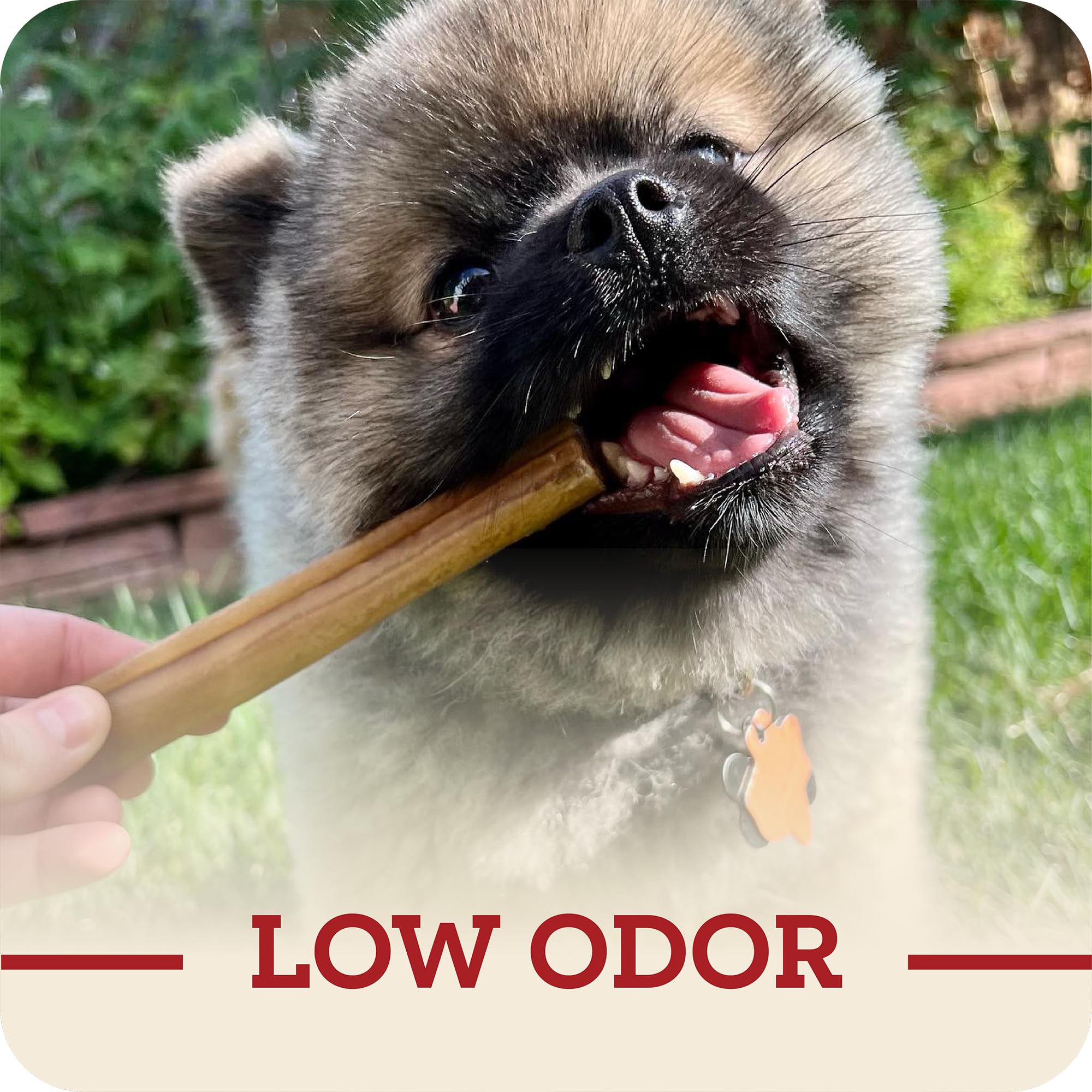 Beef Collagen Sticks for Dogs, Long Lasting Collagen Chews for Dogs. Bully Sticks Alternative High Protein Dental Treats w/Natural Collagen for Dogs Supports Joint, Skin & Coat Health (Large, 3pk)