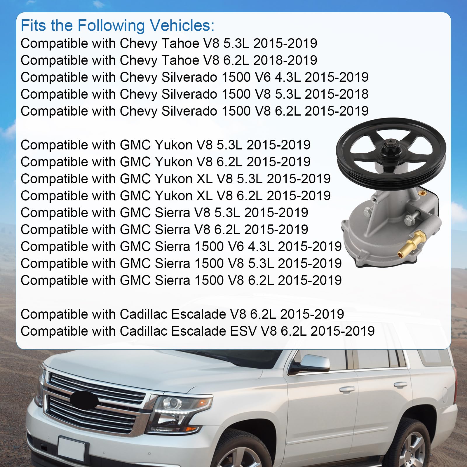 RADHLBNIU Vacuum Pump Compatible with Chevrolet Cadillac GMC 2015-2019 ...