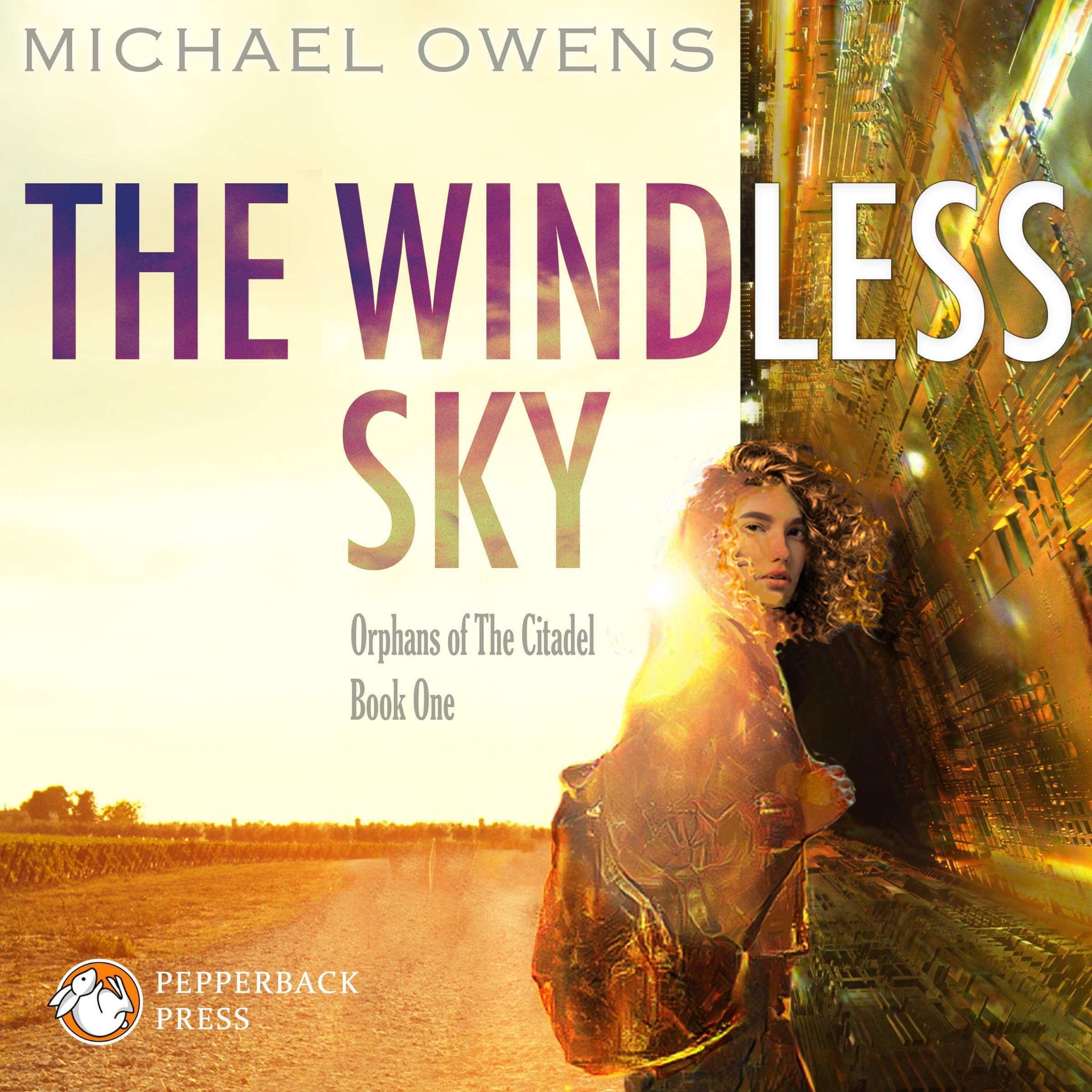 Cover art for The Windless Sky