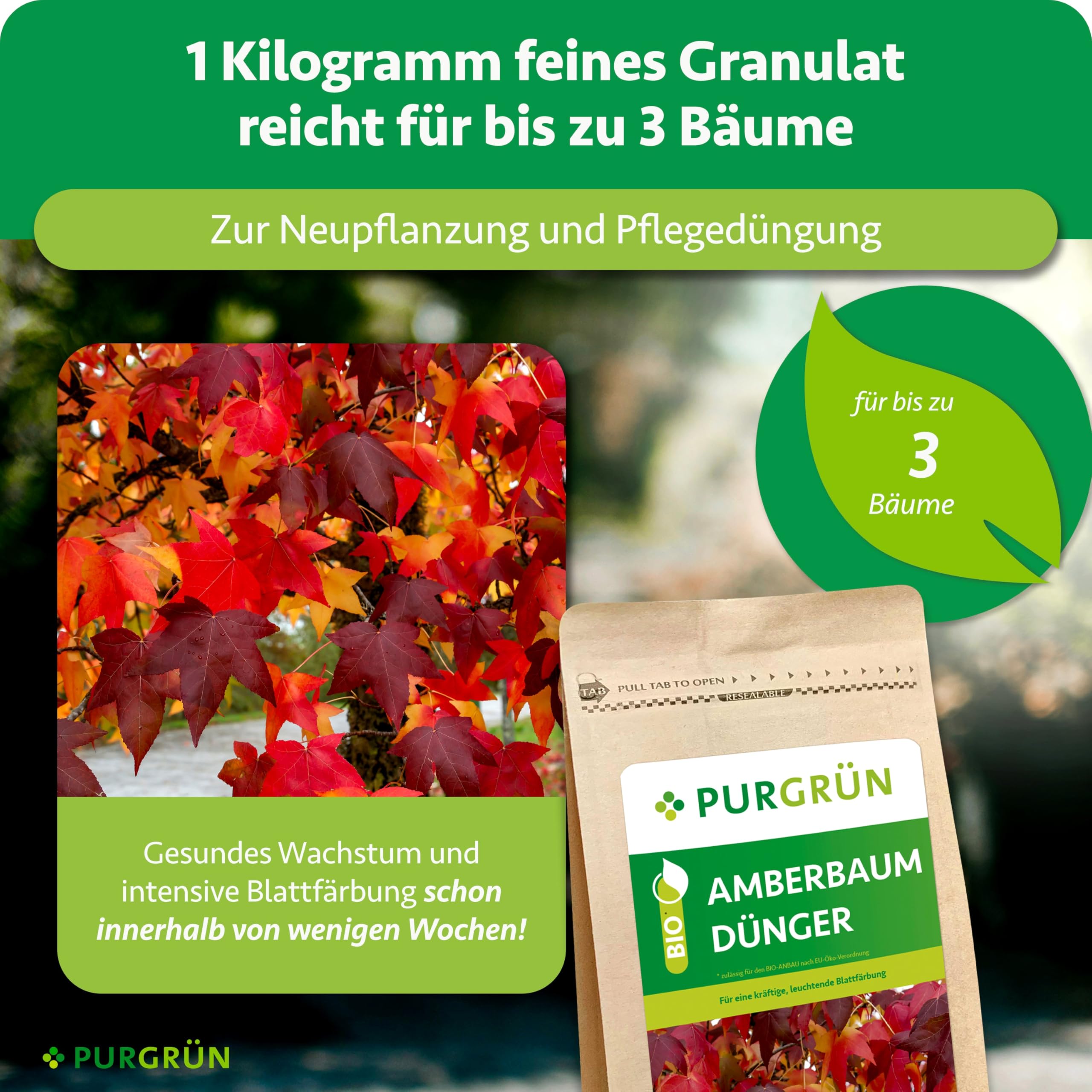 Bio-Amberbaum-Dünger 1 kg – Organisch-mineralische Rezeptur – Feinkörniges Krümelgranulat – NPK 6+3+8 – Mit Magnesium für eine intensive Blattfärbung – Verbessert die Bodenqualität
