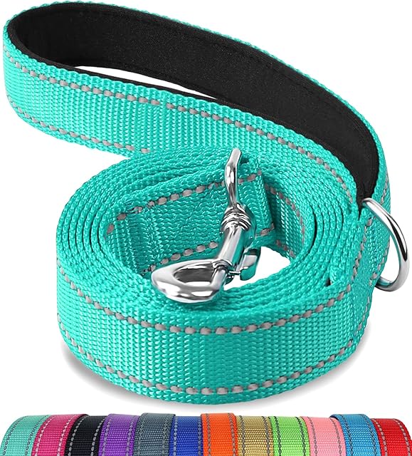 Joytale Padded Handle Dog Lead,Double-Sided Reflective Nylon Dogs Leads for Training,Walking Leash for Large, Medium Dogs, 1.8m × 2.5cm, Teal