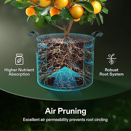 Miniatura 5 de VIVOSUN Paquete de 20 bolsas de cultivo de 1 galón, macetas de tela no tejida gruesa resistente con asas para flores, frutas y verduras, color negro