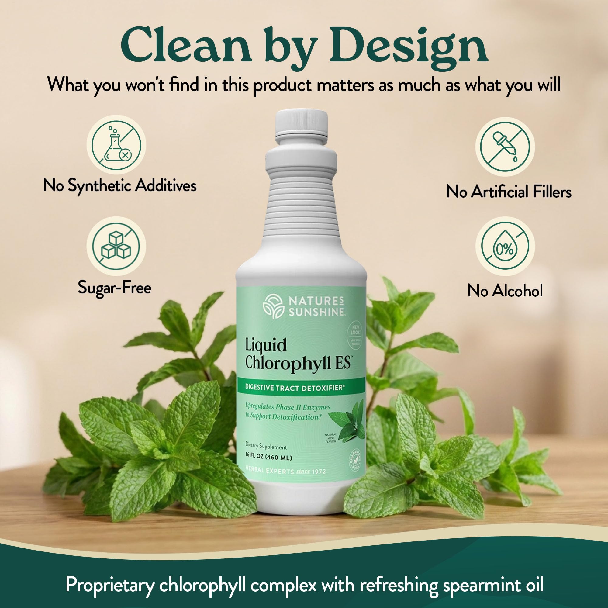 Nature's Sunshine Liquid Chlorophyll Extra Strength - Immunity Support, Detox & Cleanse, Chlorophyll Liquid Drops with Spearmint Oil, Natural Energy Boost, Internal Deodorant - 16 Fl Oz — Amazon image 4