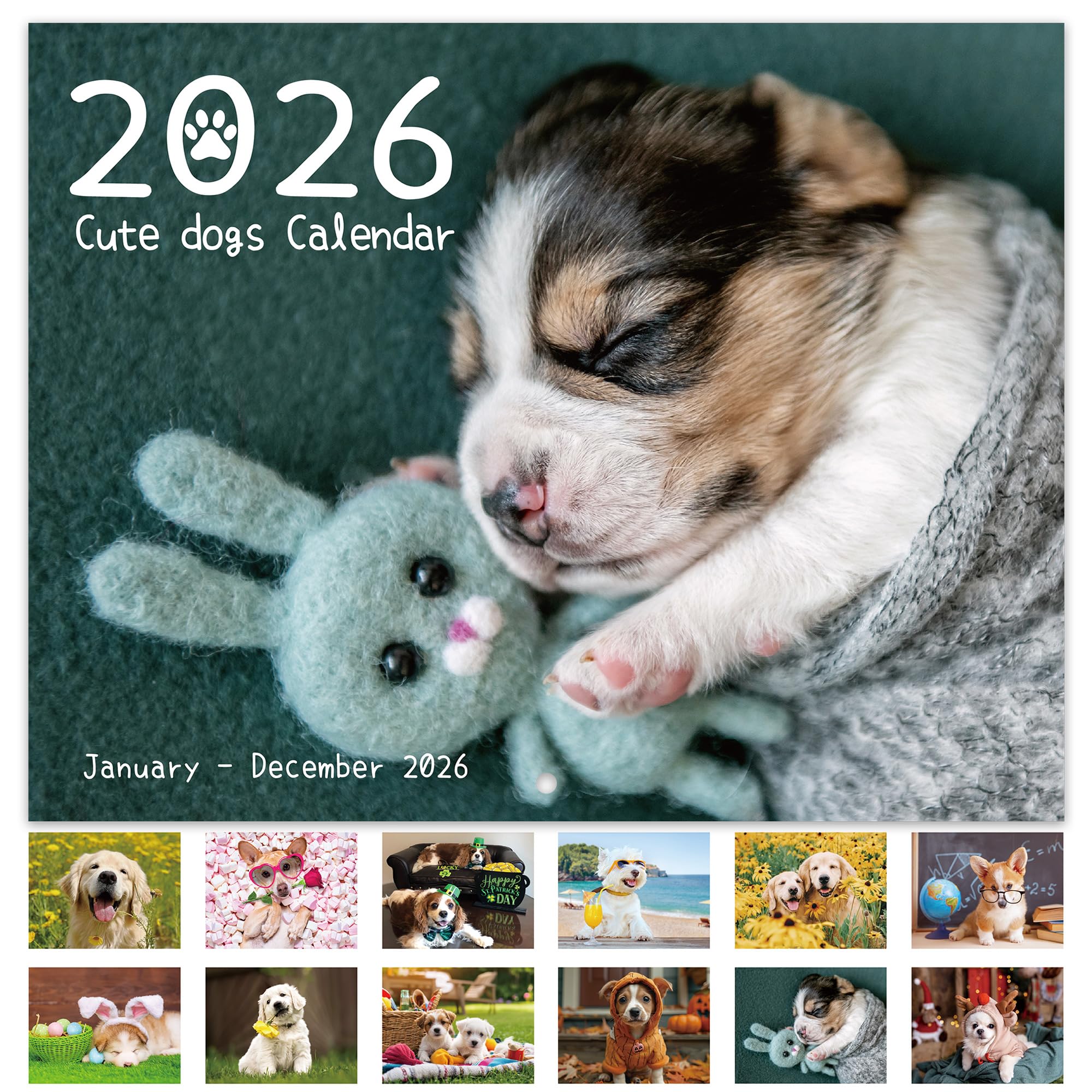 Dog Selfies Calendar 2026 A4 12 Months Funny Dog Calendar UK Wall - View #9