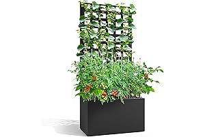 Metal Plant Box with Trellis - Perfect for Climbing Plants