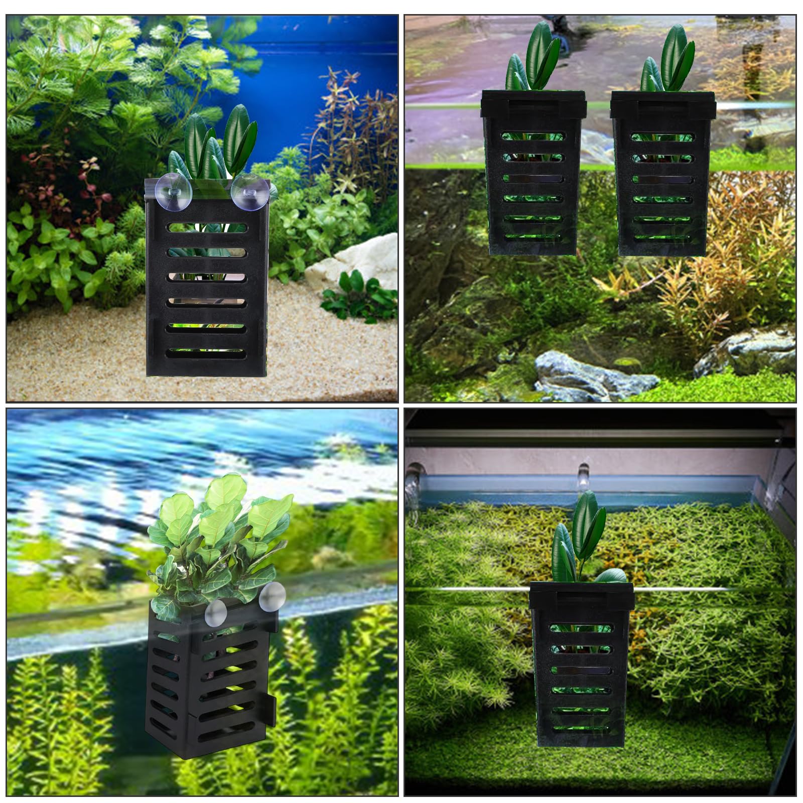 Porta Piante Per Acquario Con Ventose – 4 Cestini Sospesi Da 10x7 Cm, Per Acquaponica E Decorazione Acquatica, In Plastica Resistente